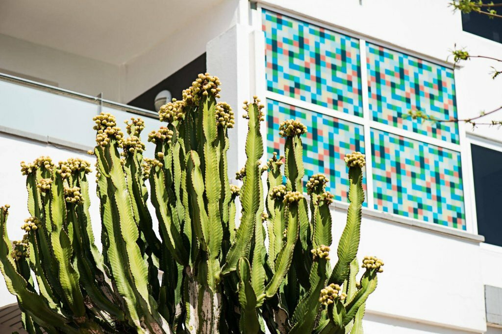 Фото Axel Beach Maspalomas