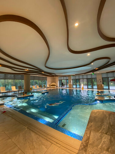 Гостиница Lankaran Springs Wellness Resort