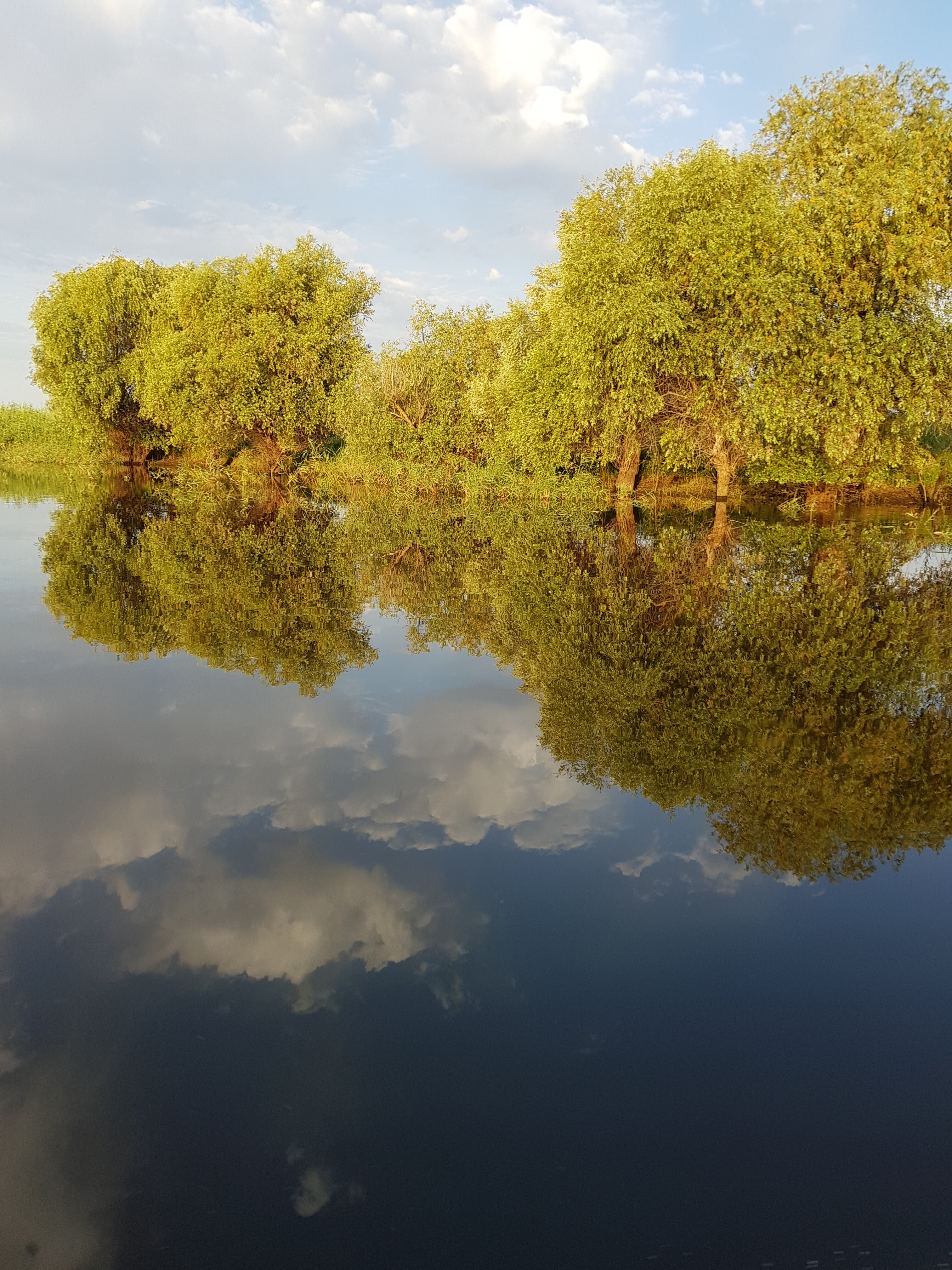 Фото Дом у реки