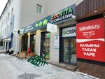 Bessonnica (Soni Krivoy Street, 83) ، مقهى