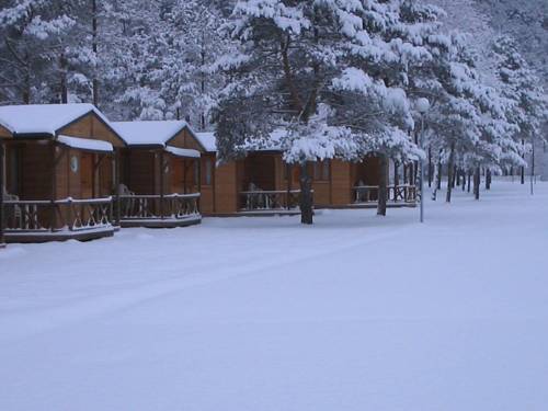 Фото Camping Pirinenc