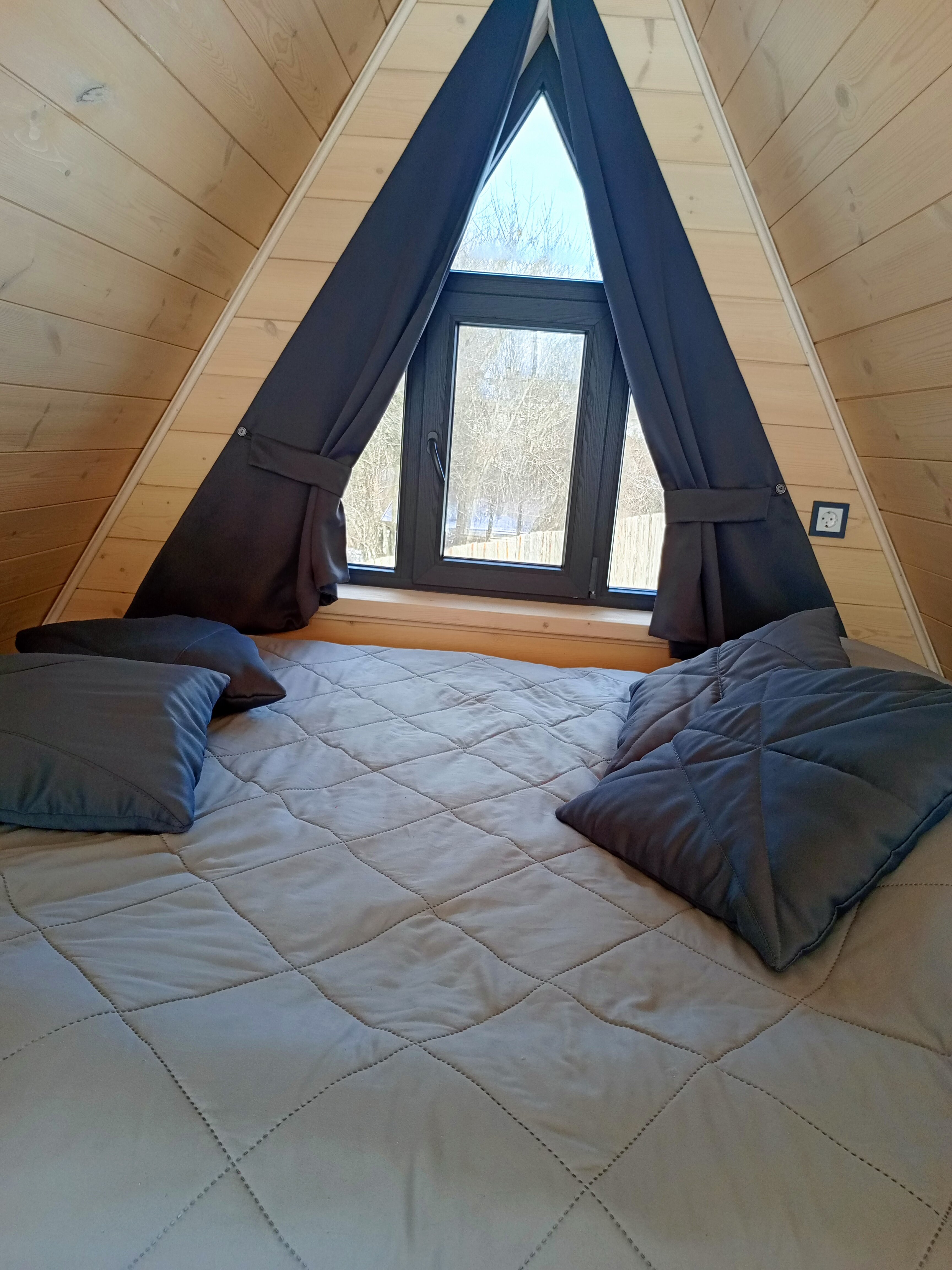 Фото Камыши