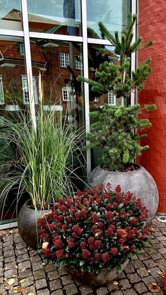 Фото Hotel Dalgas