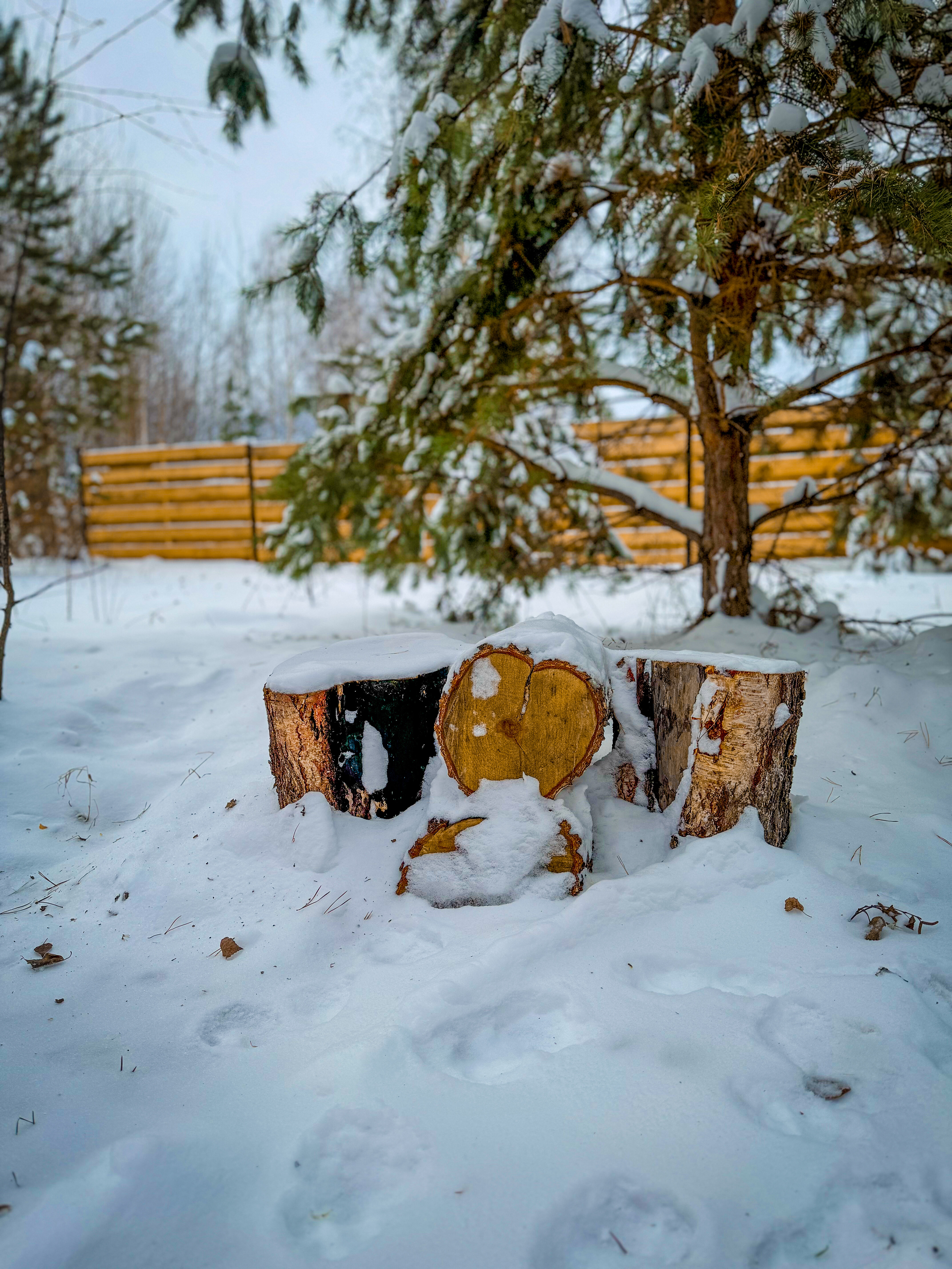 Фото ДруганоФФ