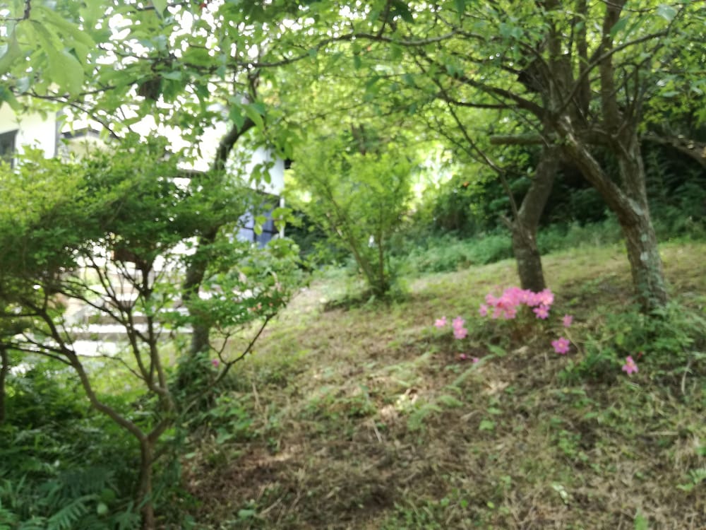 Фото Kuu And Fuu