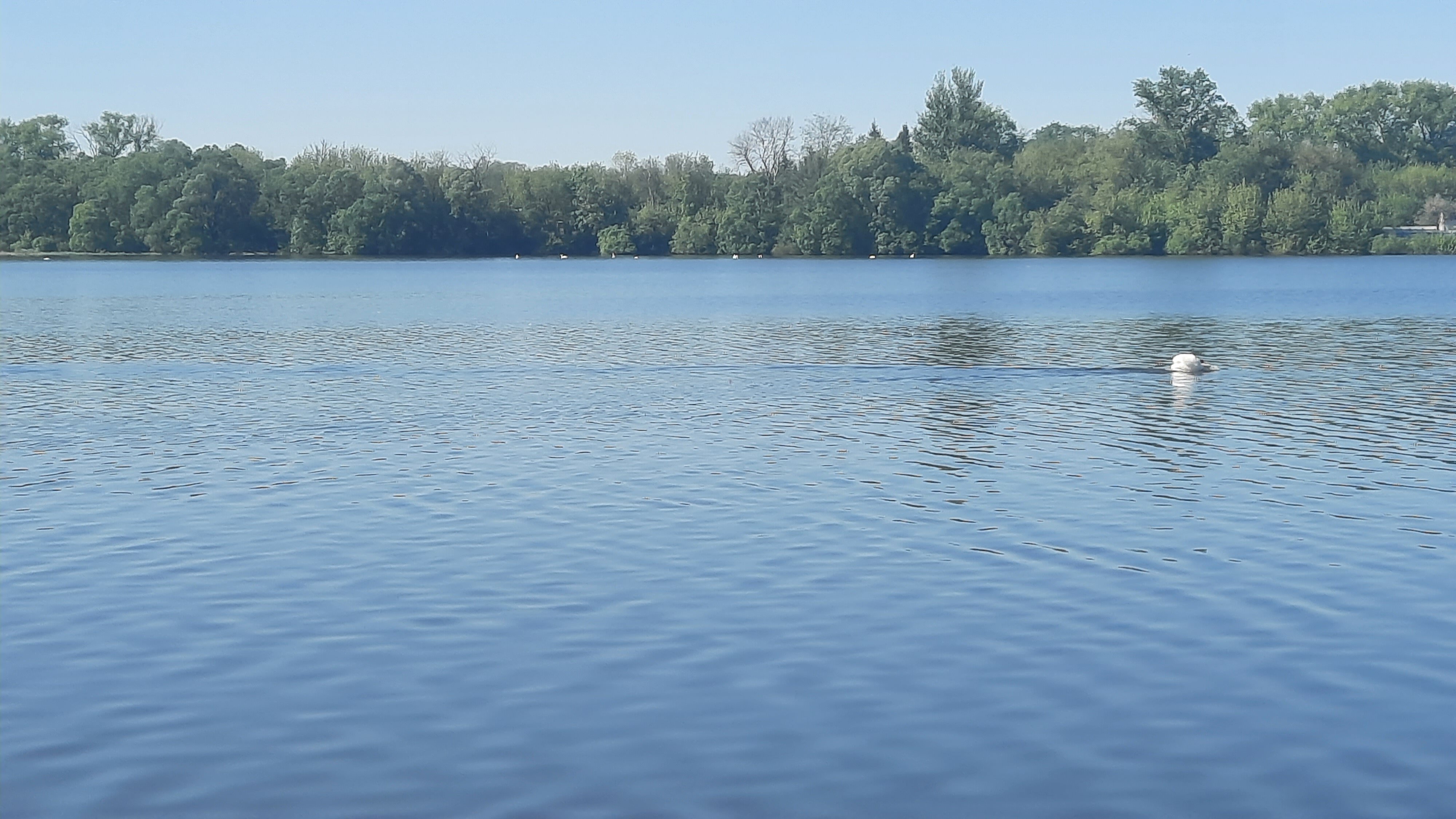 Фото Гостиный двор Рыбачий