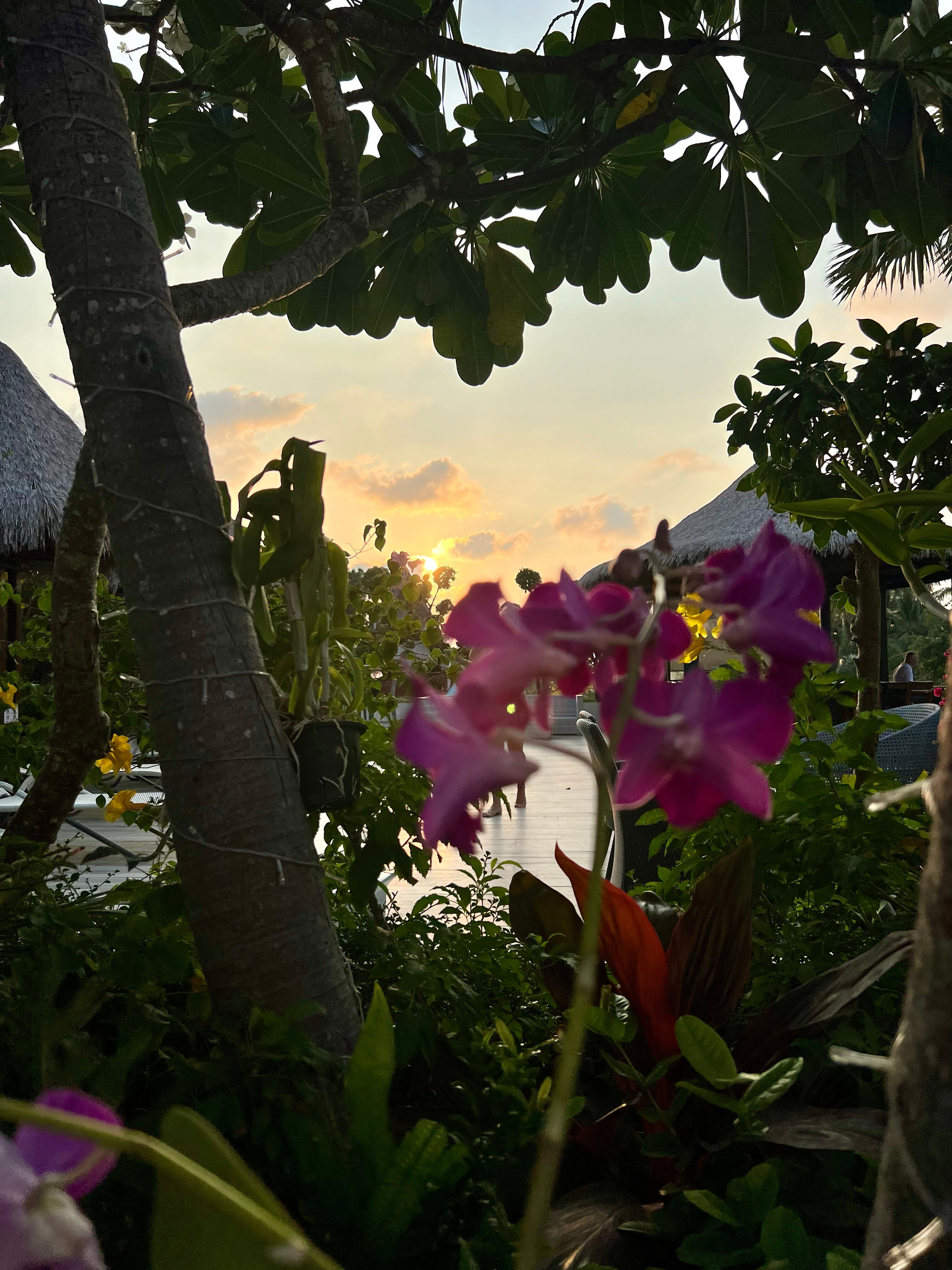 Фото Andaman Beach Suites Hotel