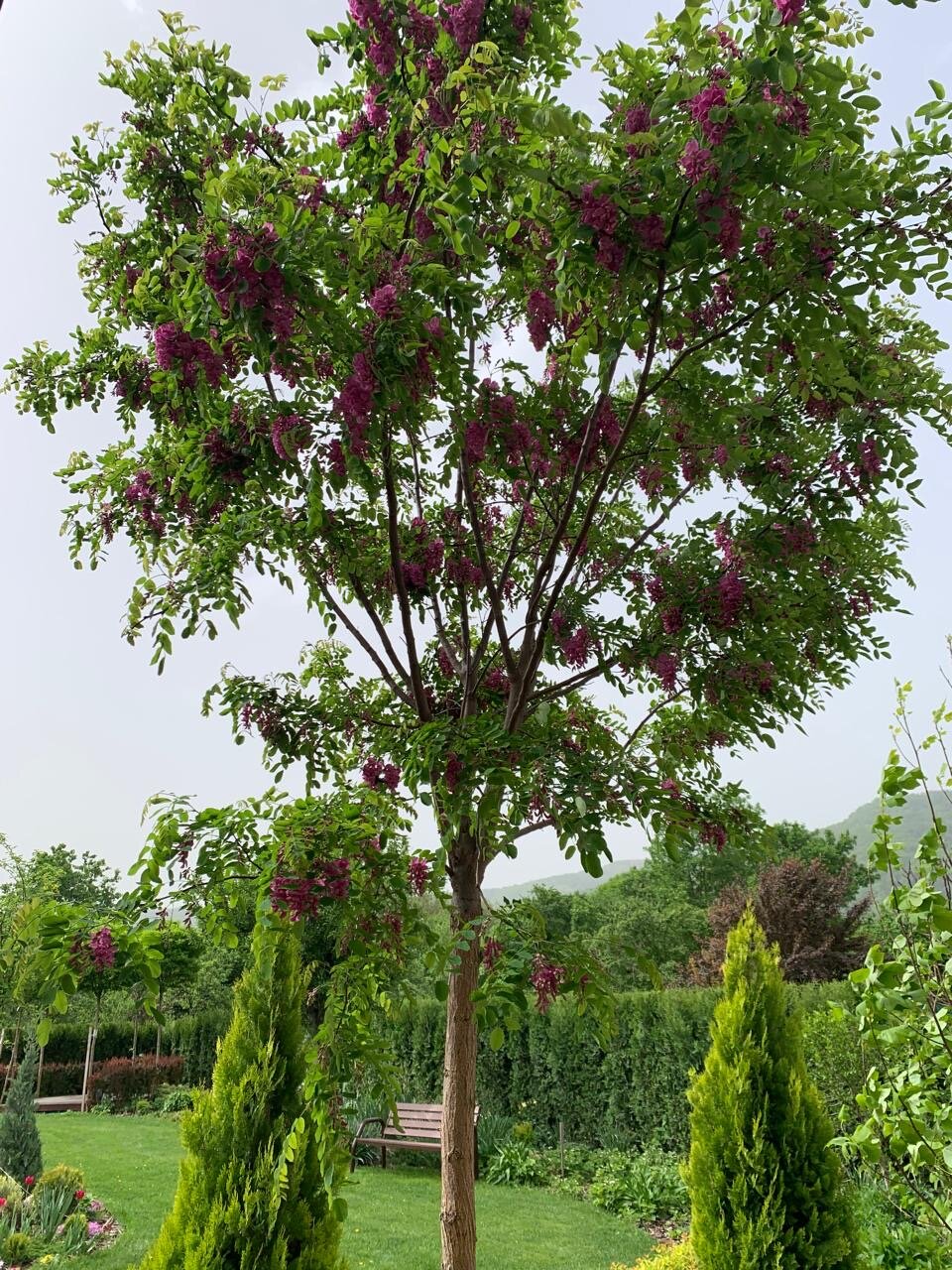 Фото Дача на юге