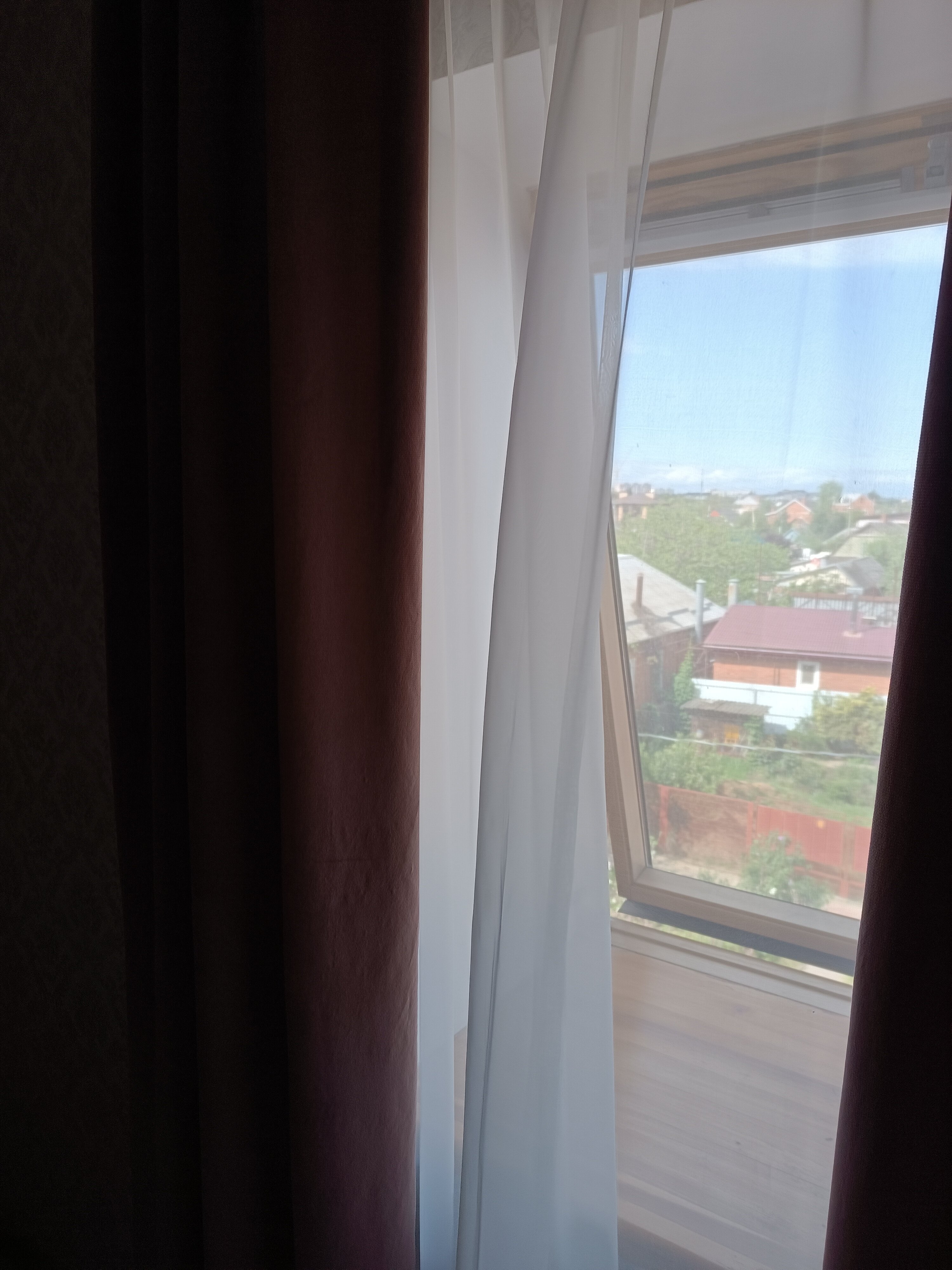 Фото Древо жизни