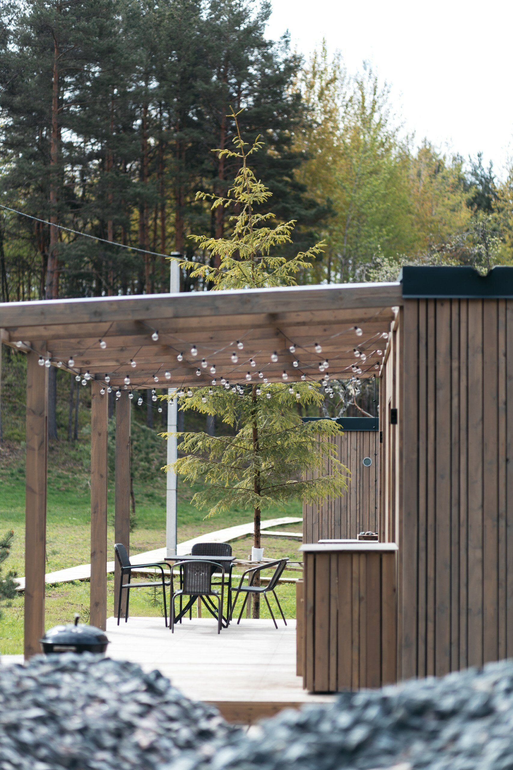 Фото Куничка