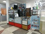 Ремонт консолей и джойстиков (Tsentralniy Microdistrict, Navaginskaya Street, 7), computer repairs and services