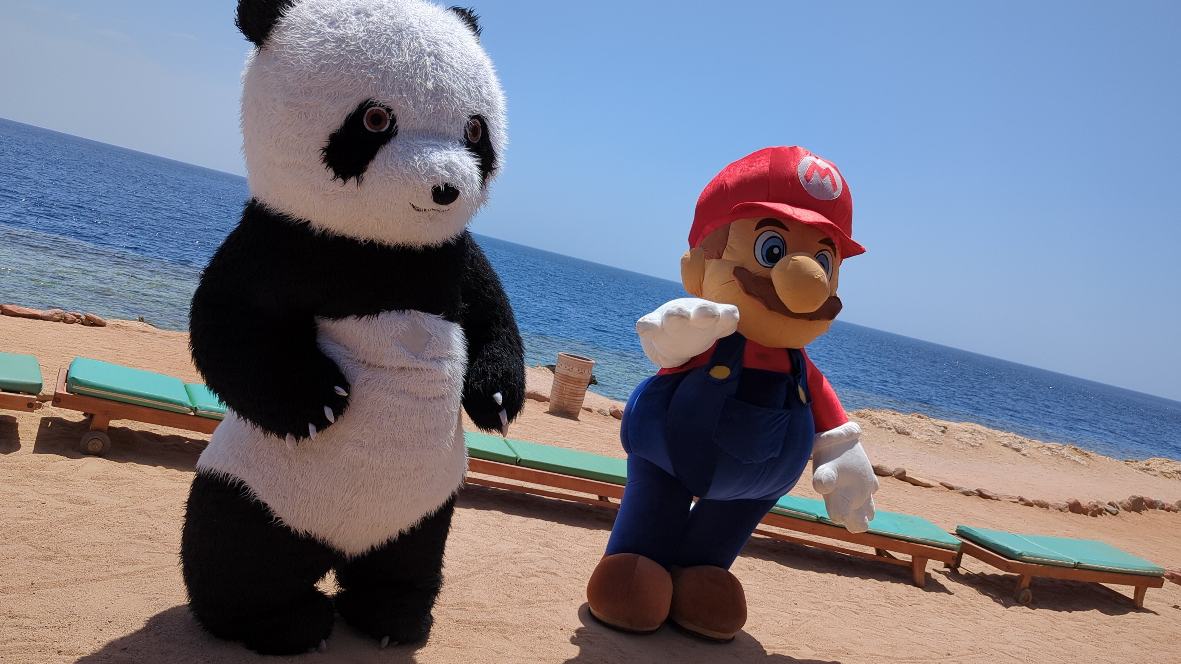 Фото Renaissance Sharm El Sheikh Golden View Beach Resort