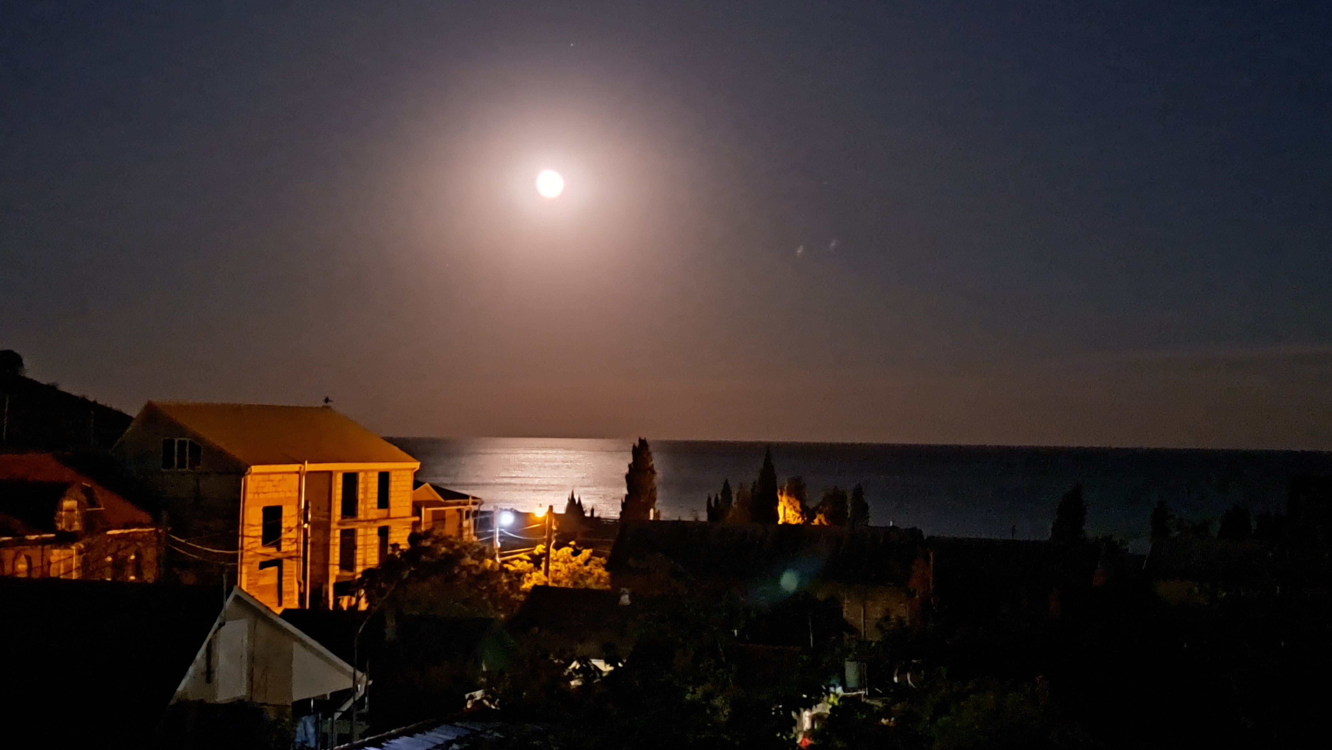 Фото Витязь