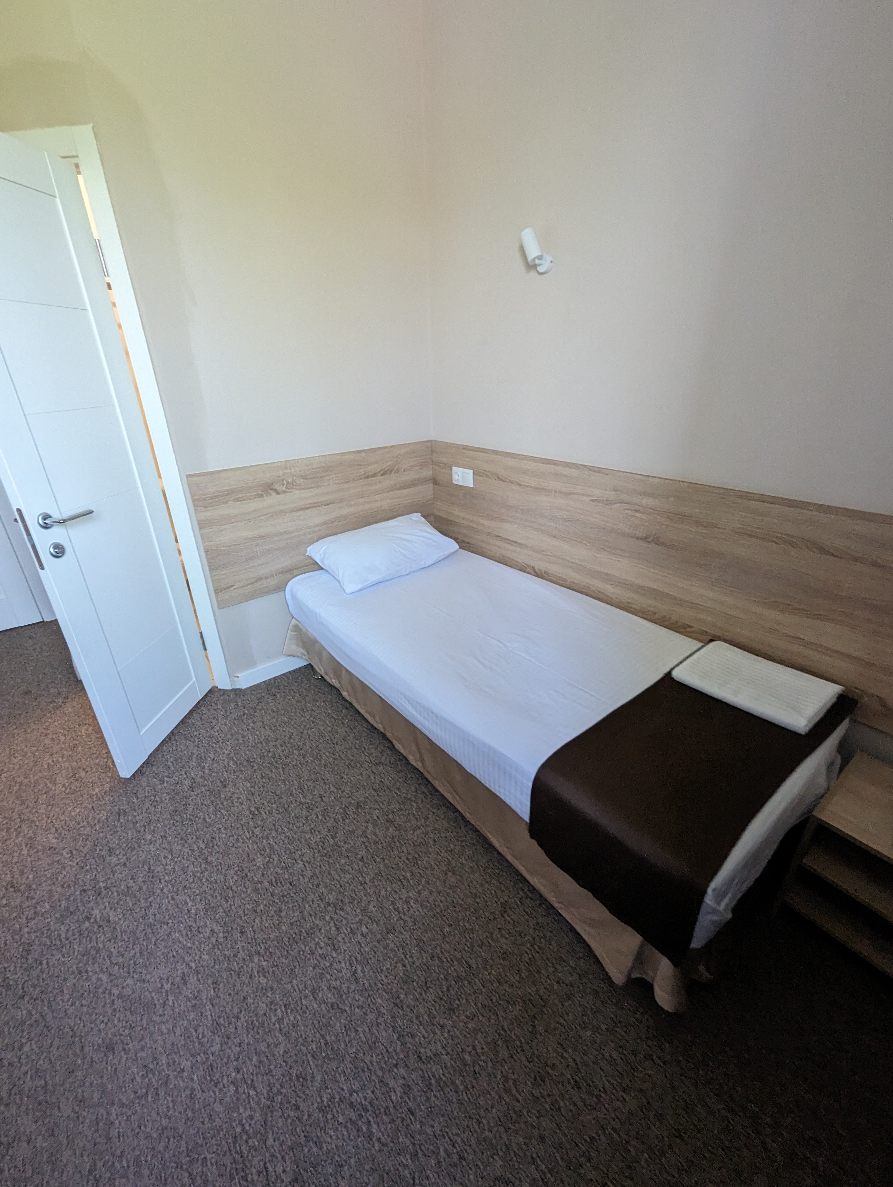 Фото Сова в Шереметьево