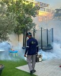 نيو ستار لخدمات مكافحة الحشرات والنظافة (13, Greece-L Street, Greece Cluster, Dubai International City, Mushraif, Dubai) ، التطهير وإزالة الطفيليات والآفات