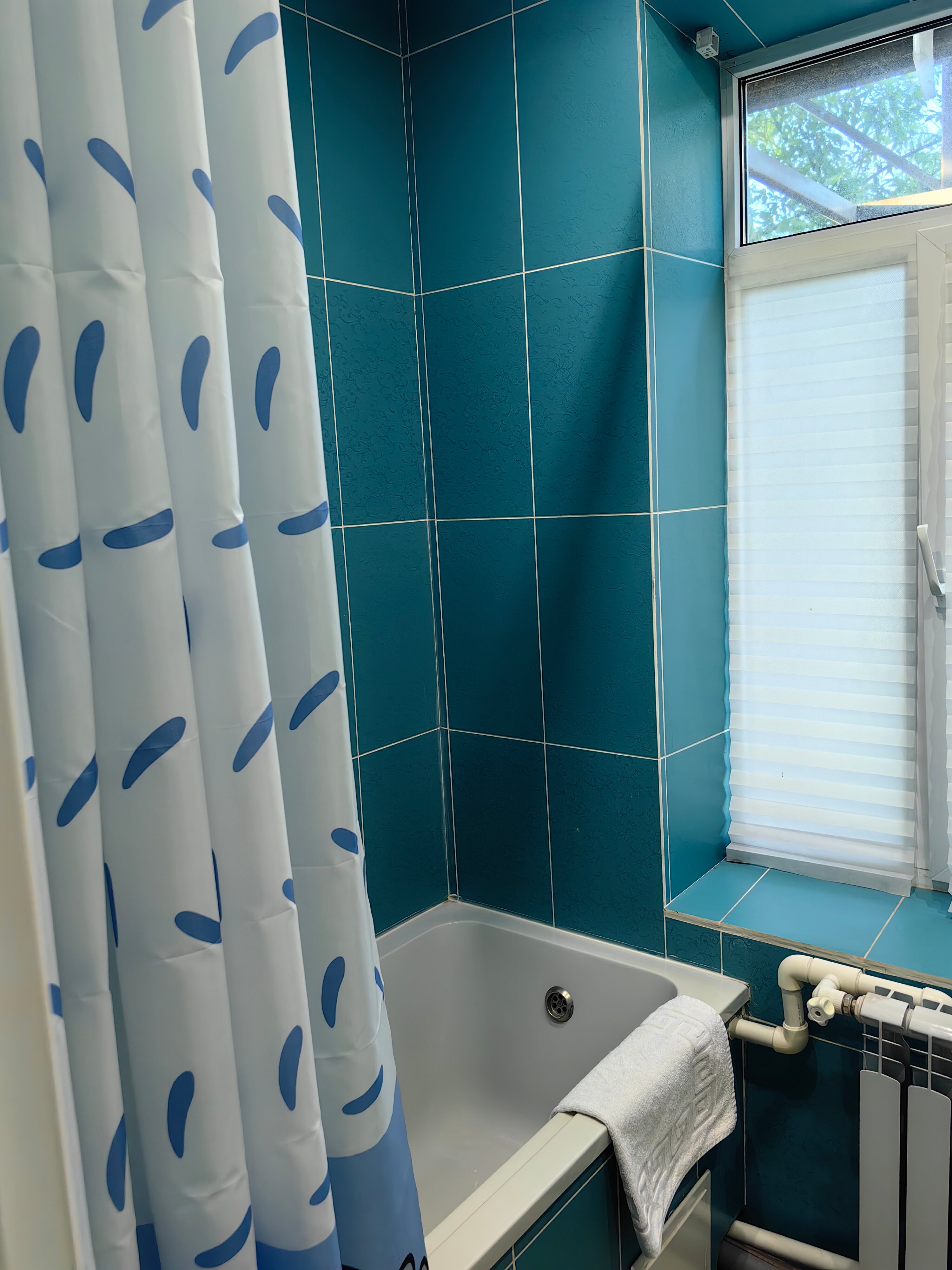 Фото 113 Верста