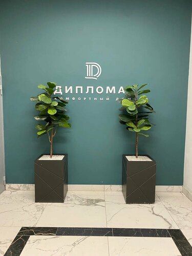 Атмосфера-Diplomat  фото 4