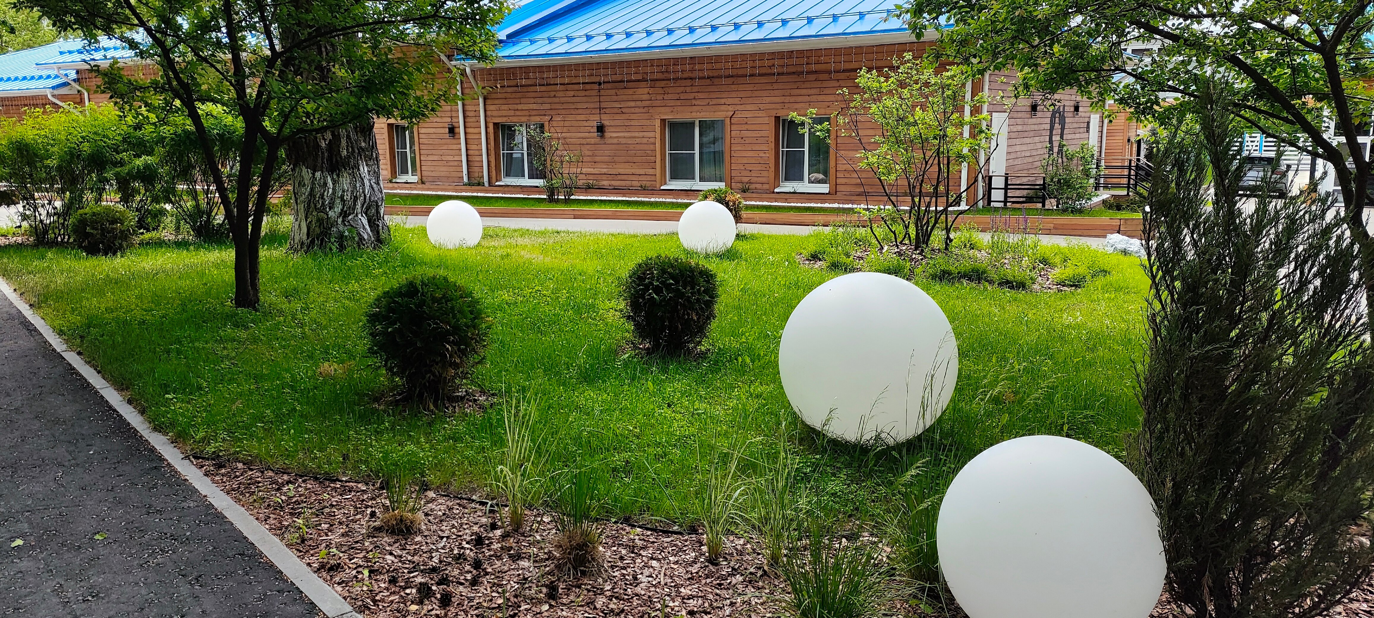 Фото Лесная опушка