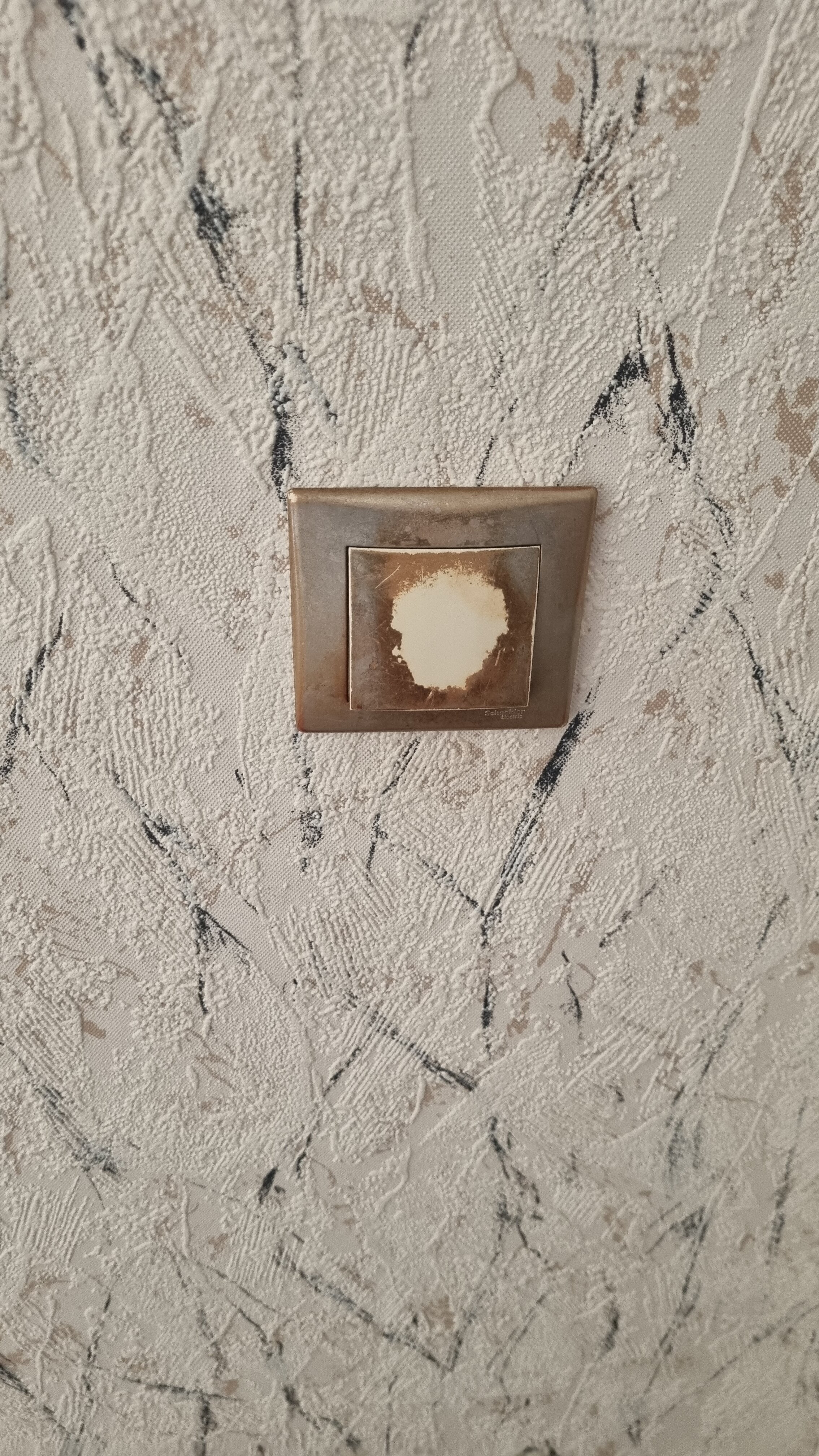 Фото Кастелло