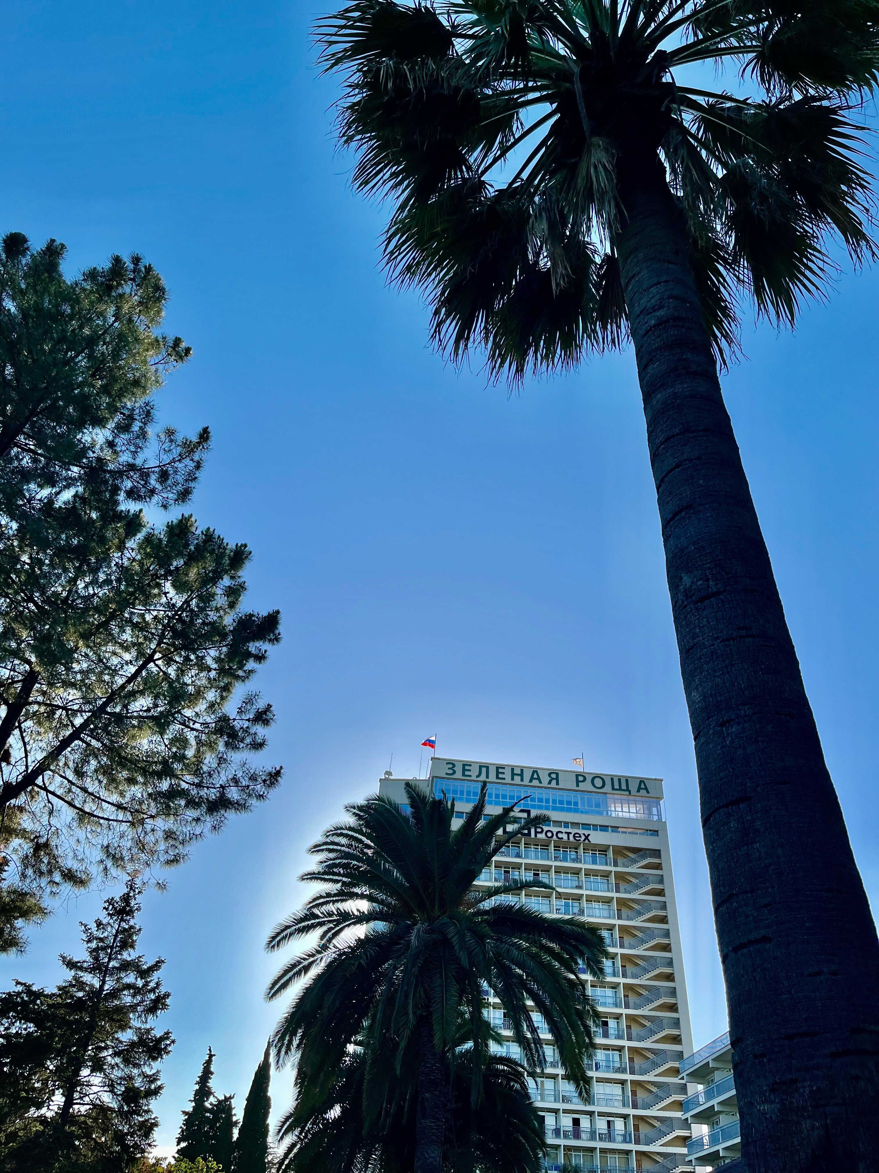 Фото Зелёная роща