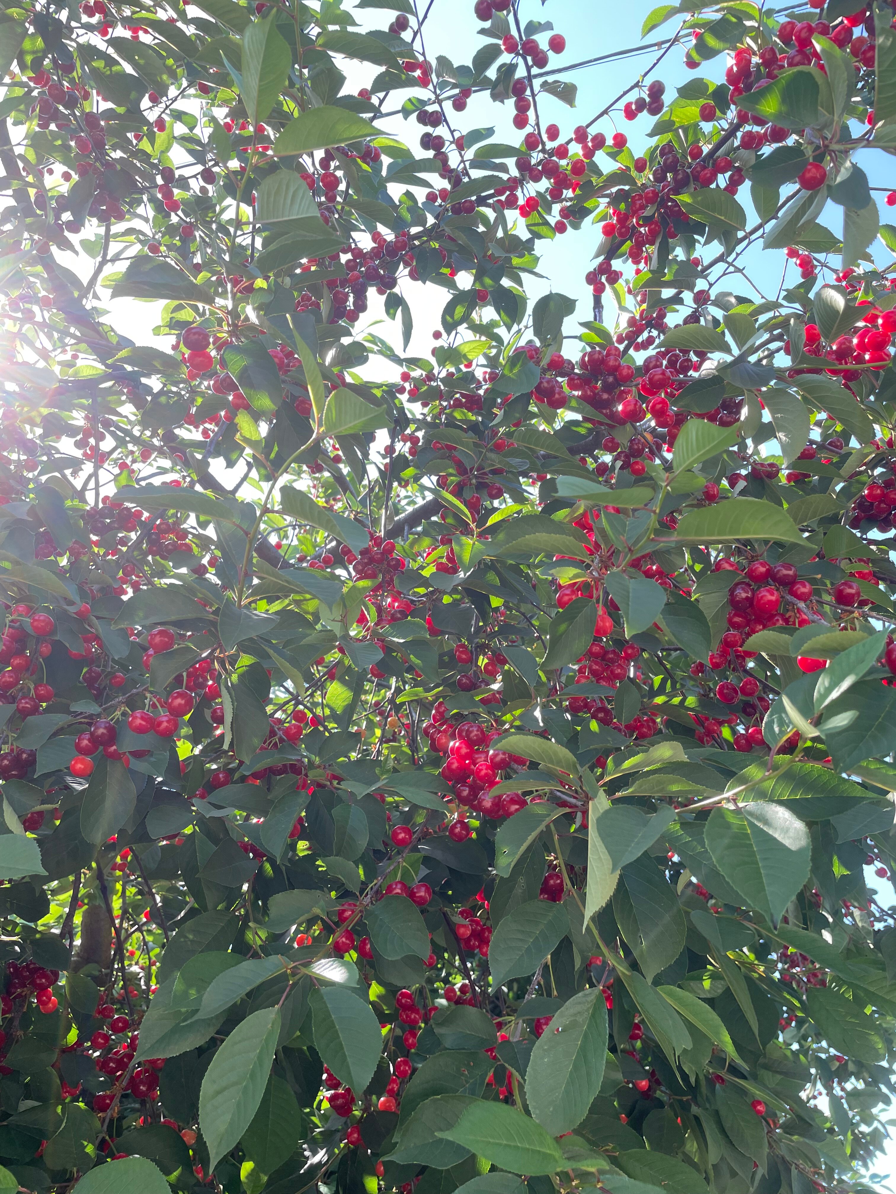 Фото Гостевой дом Югра на Приморском