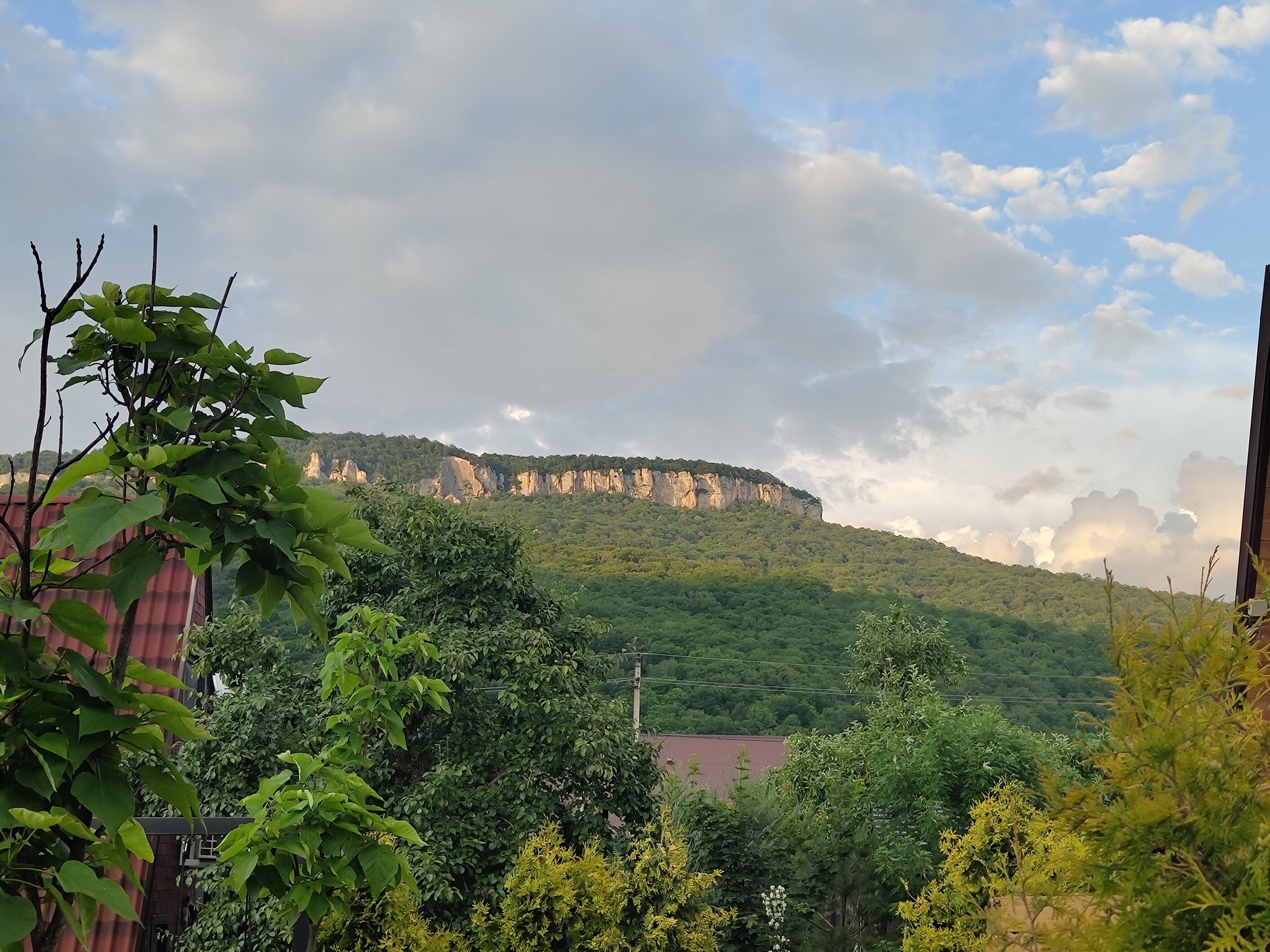 Фото Домик в Деревне Green Wood