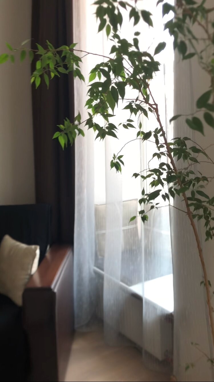 Фото Гостевой дом Невский 126