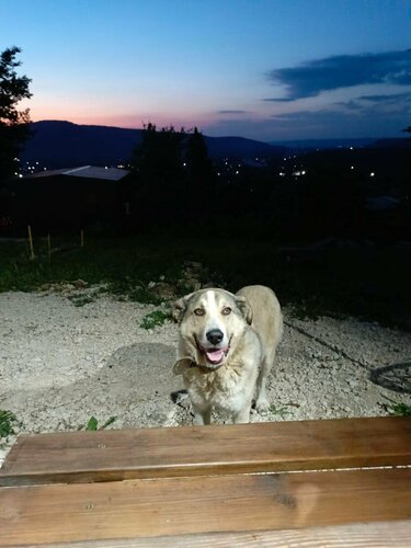 Дом в аренду Приезжай в Республике Адыгея