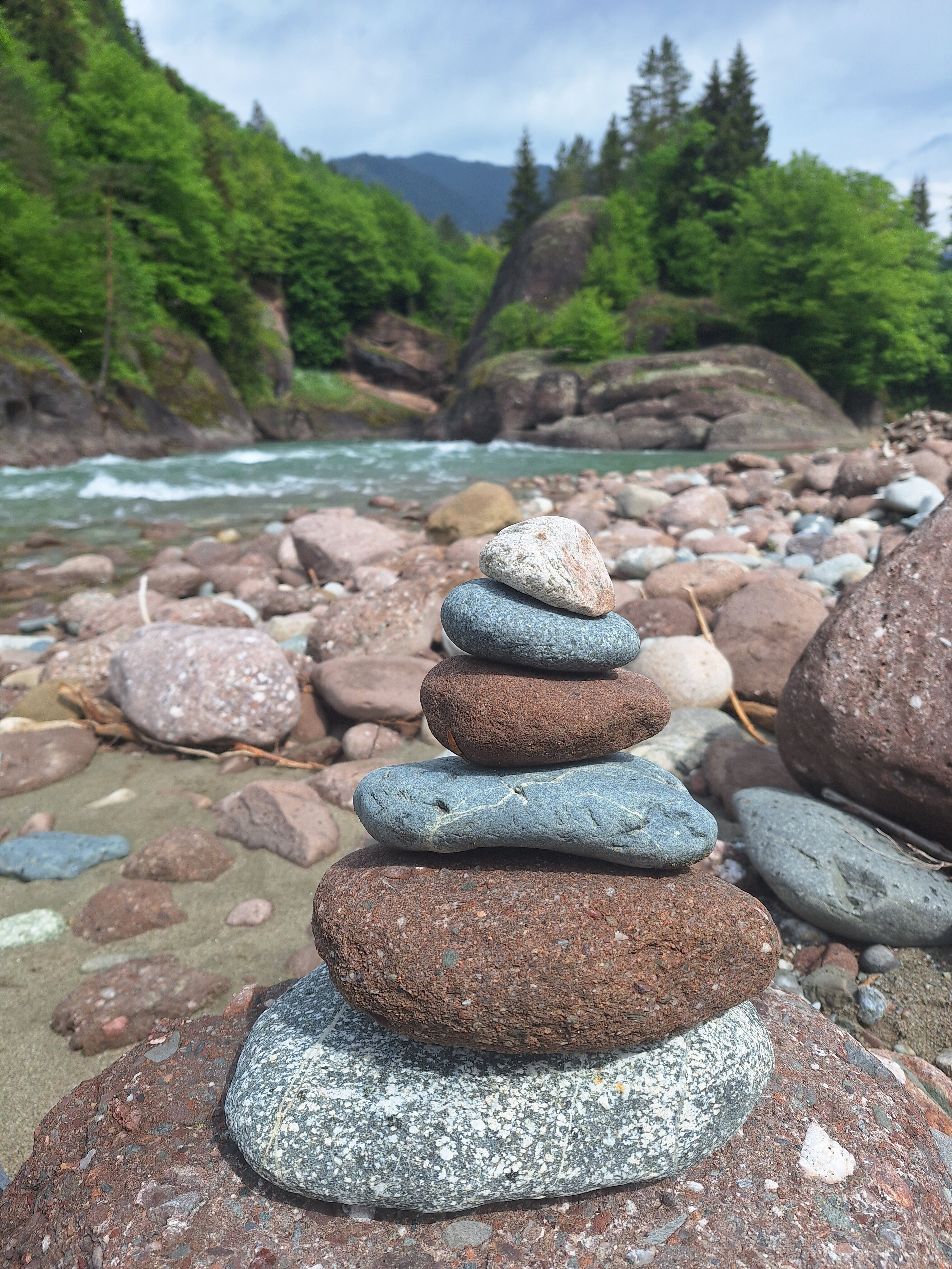 Фото Комбат