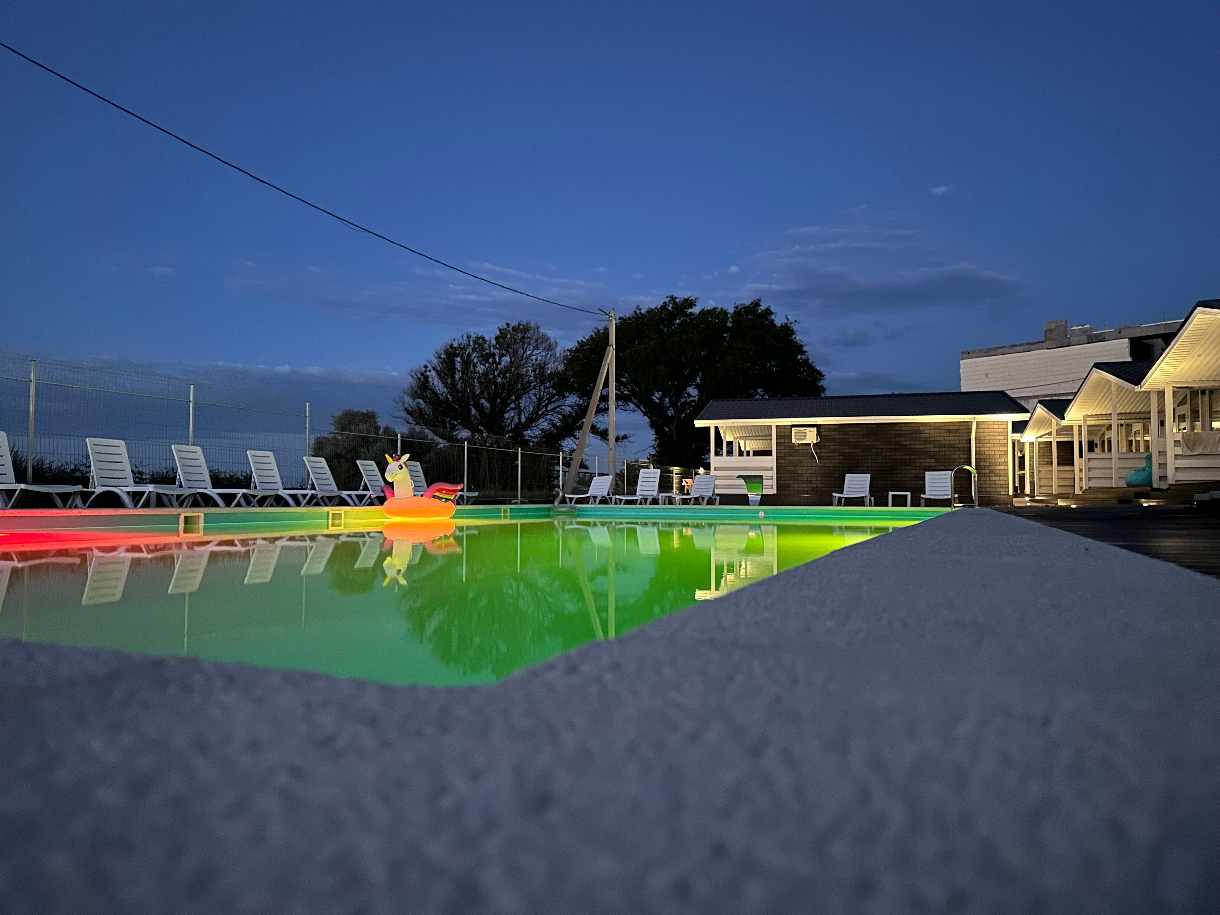 Фото Альбатрос