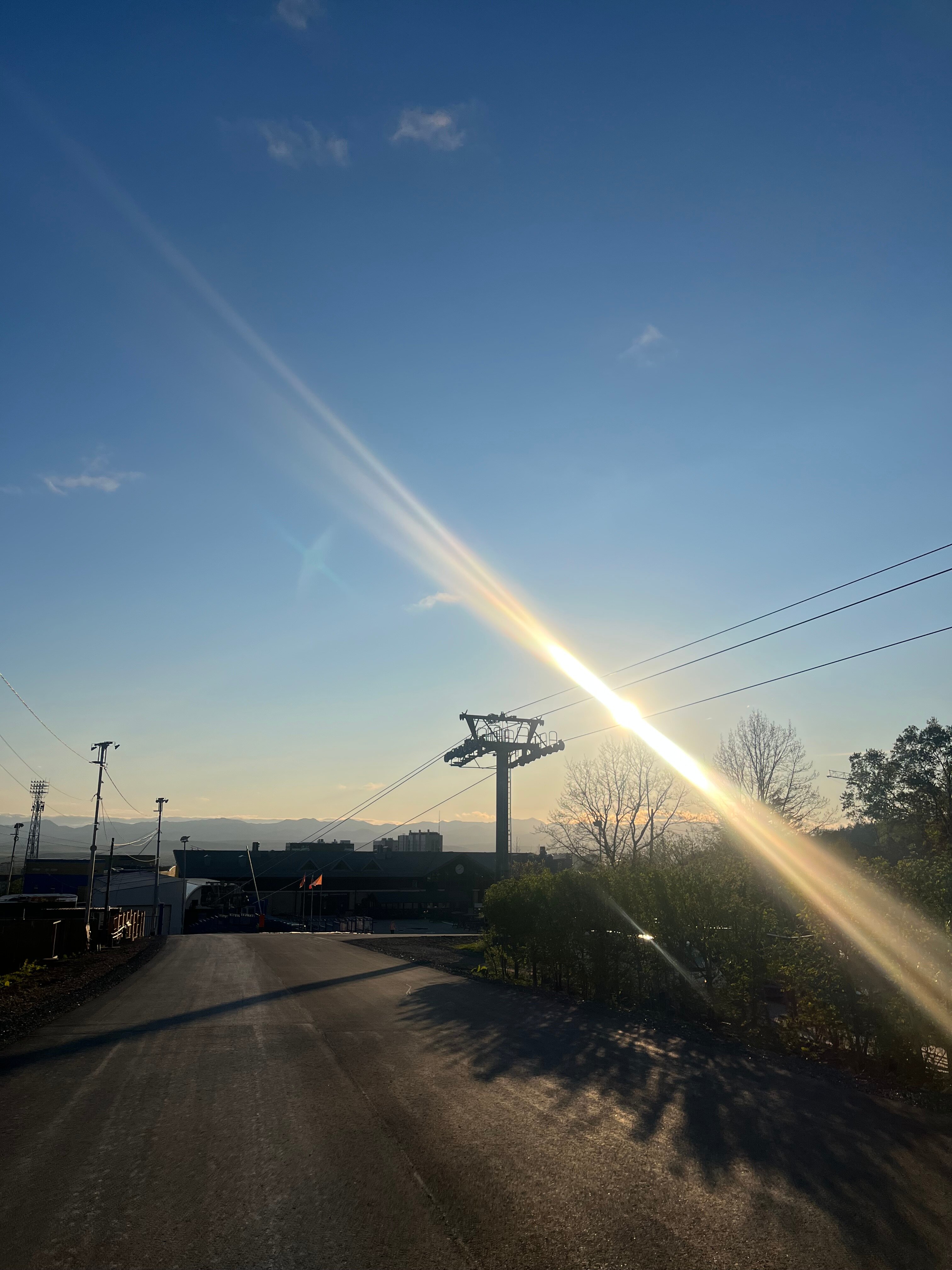 Фото Кедровый