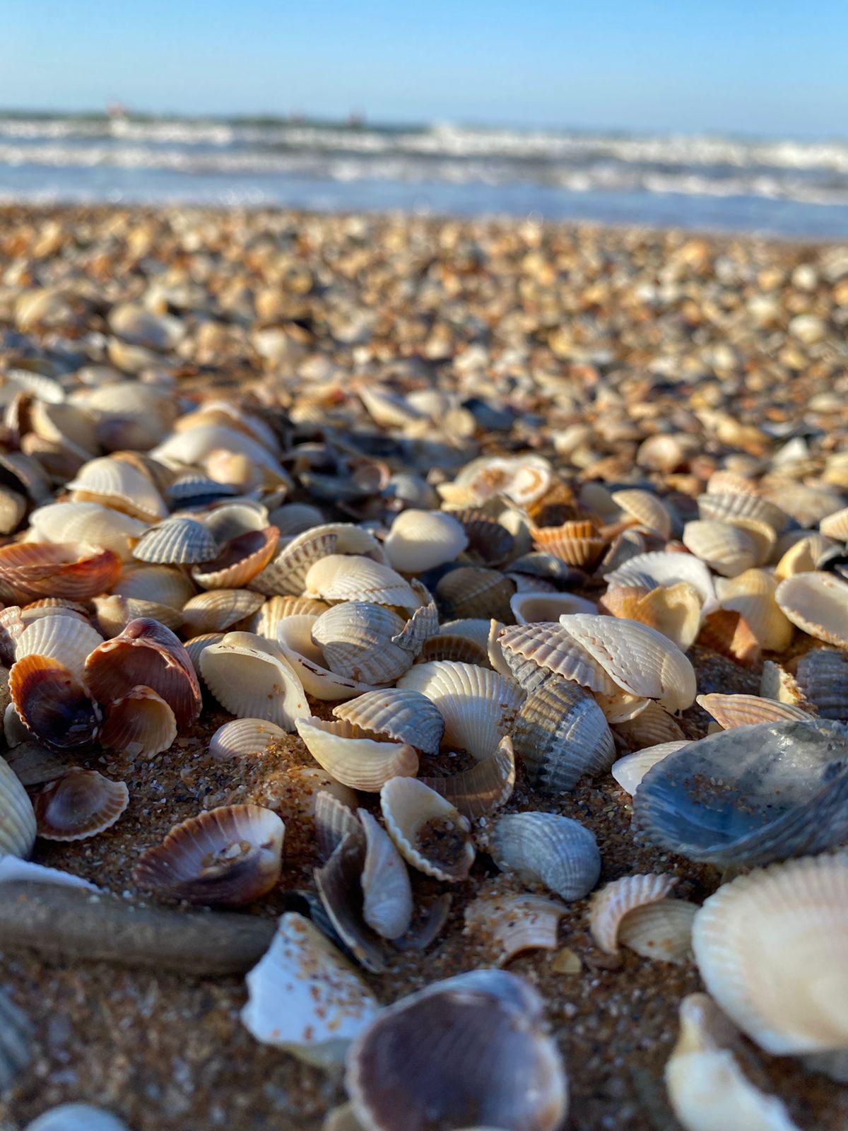 Фото Перовский Дворик