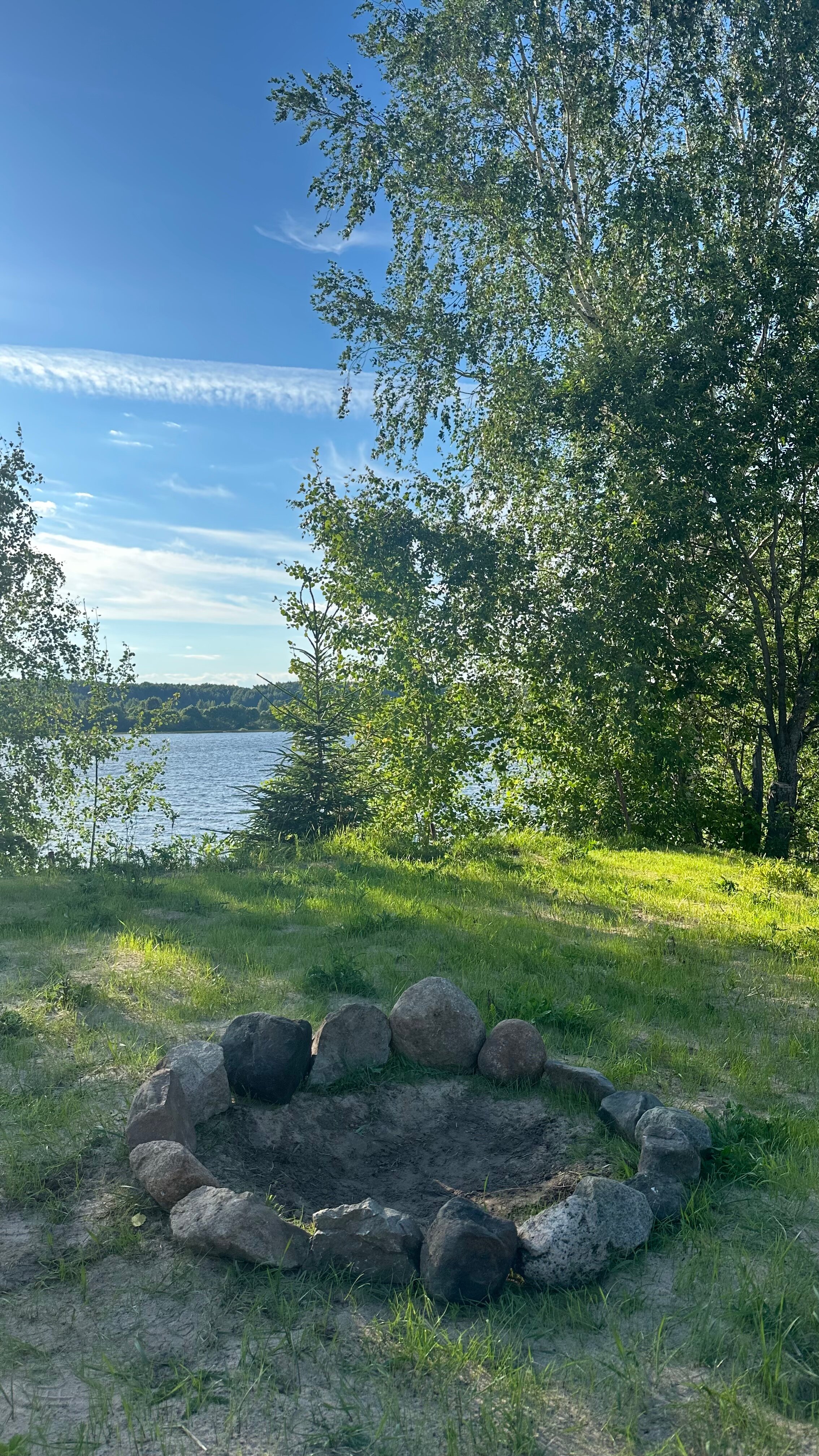 Фото Белая Морошка