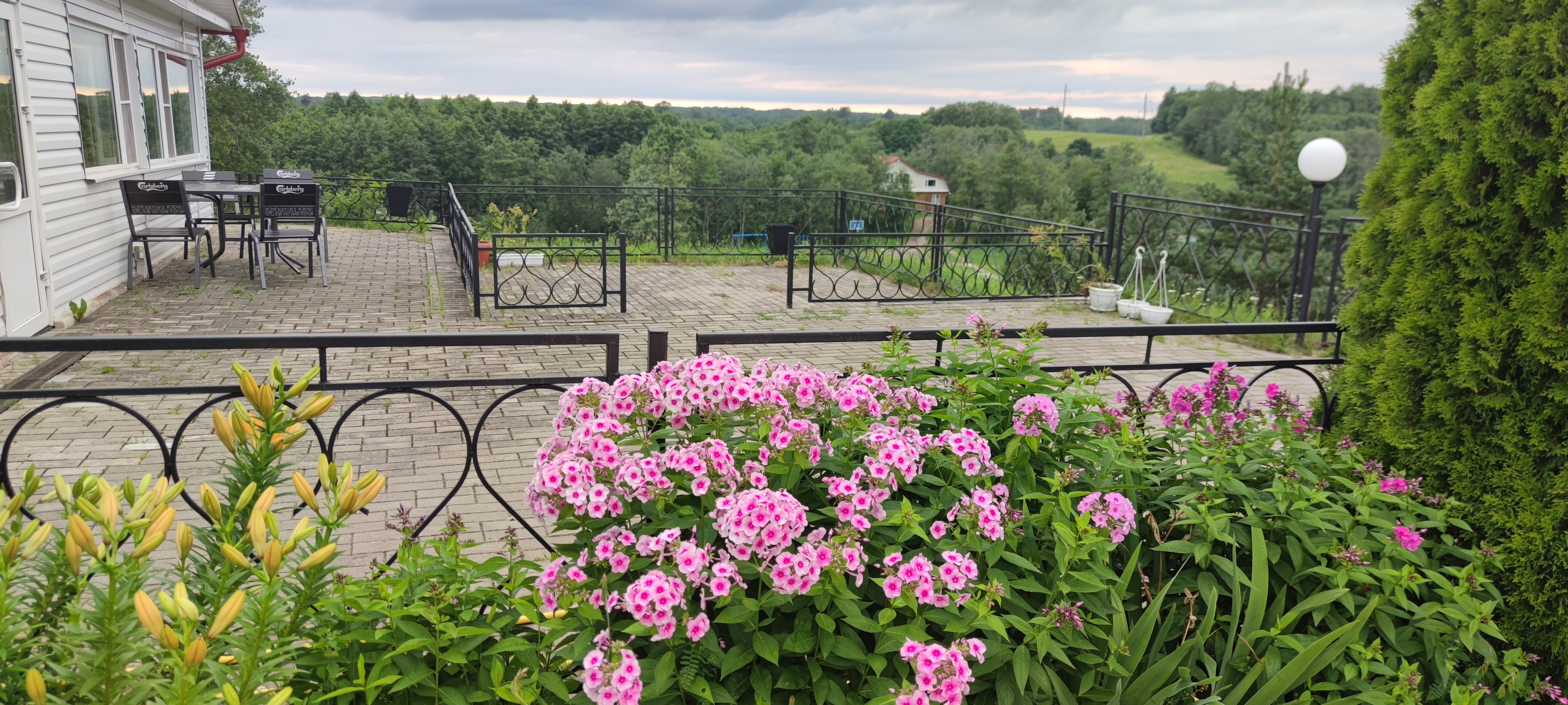 Фото Лесная гавань