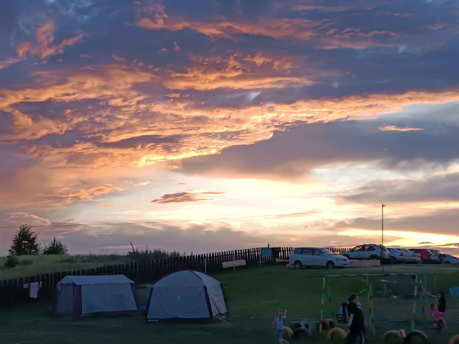 Фото Фламинго