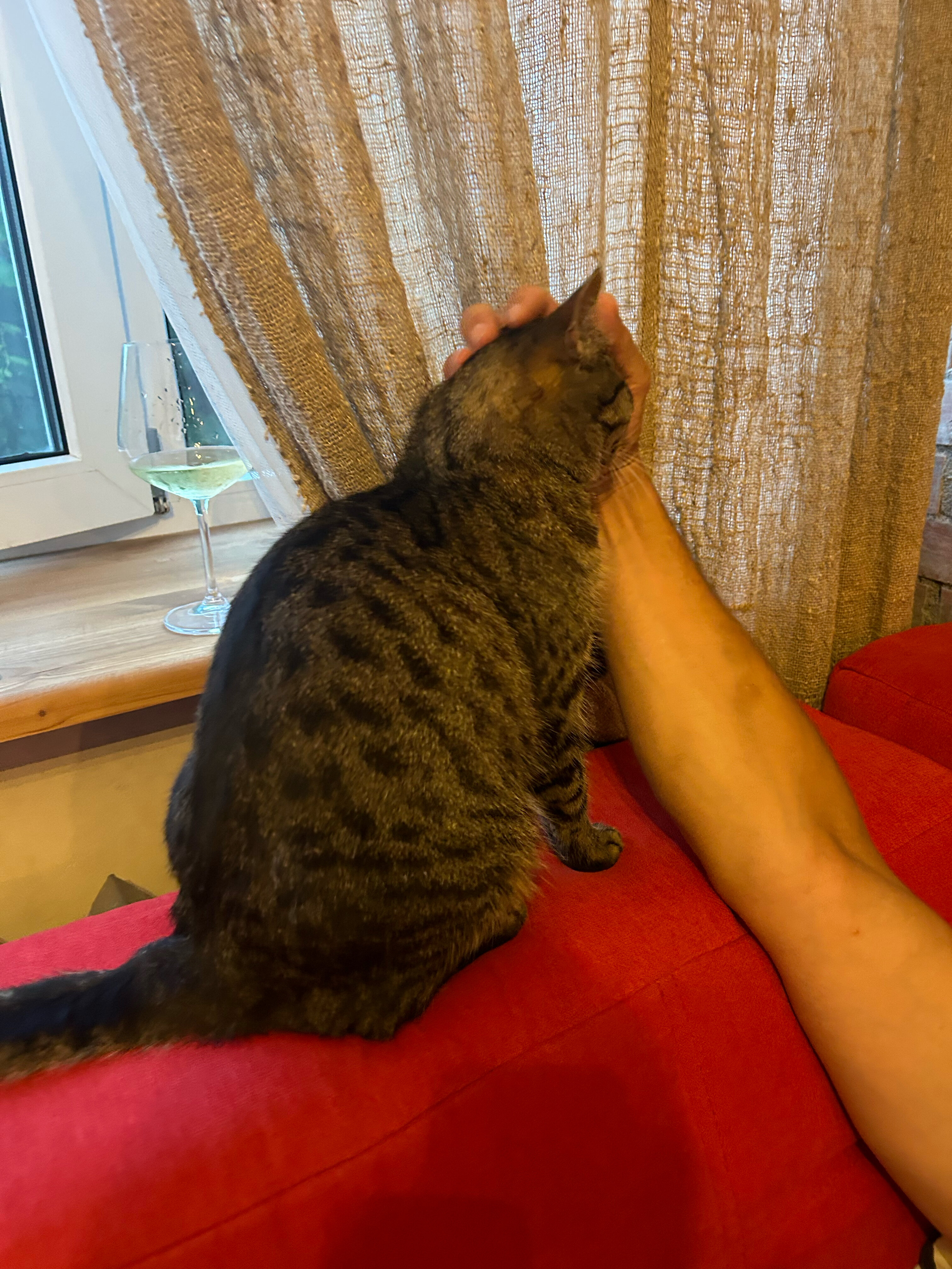 Фото Эколофт