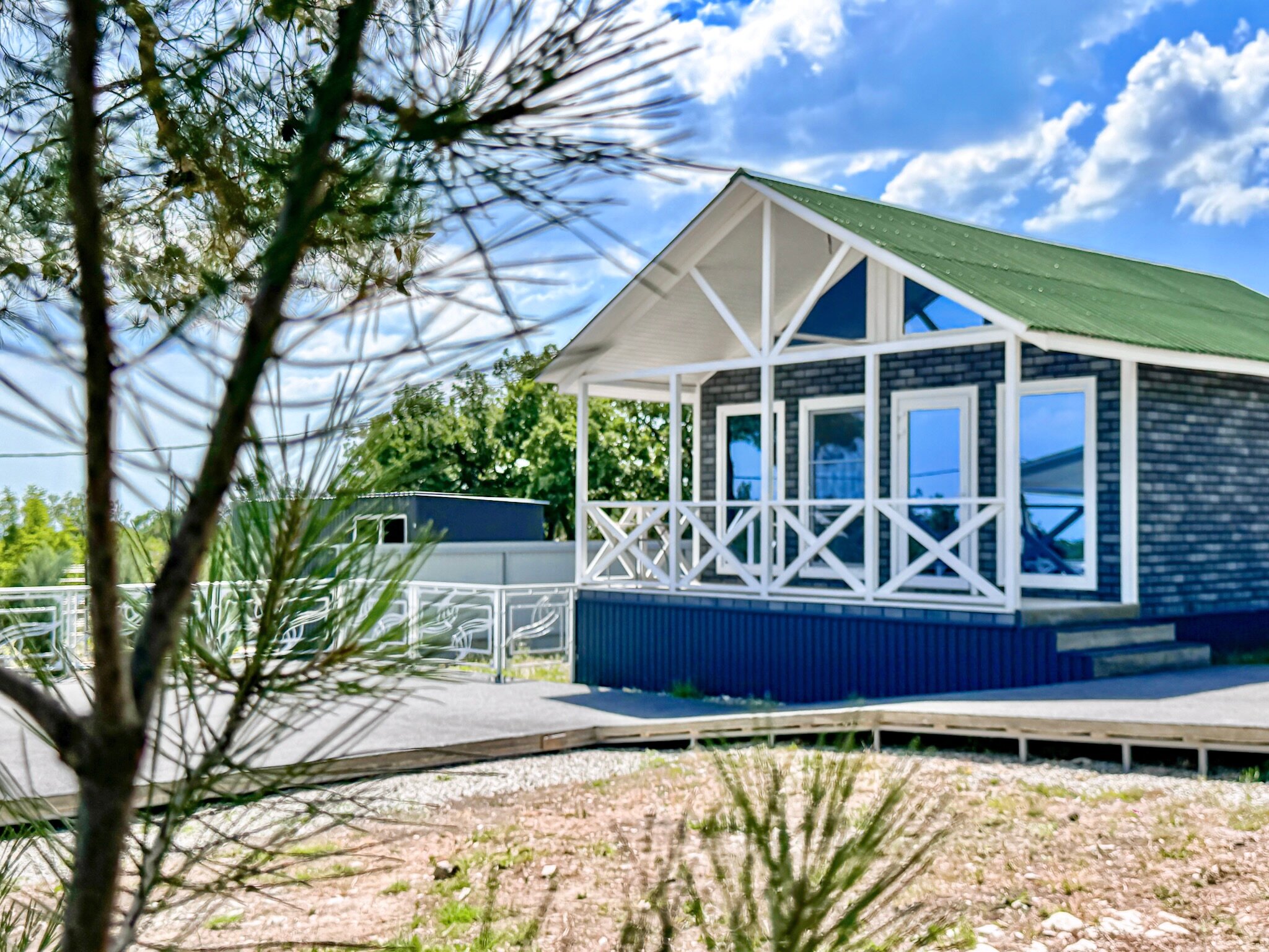 Фото Елки и Иголки