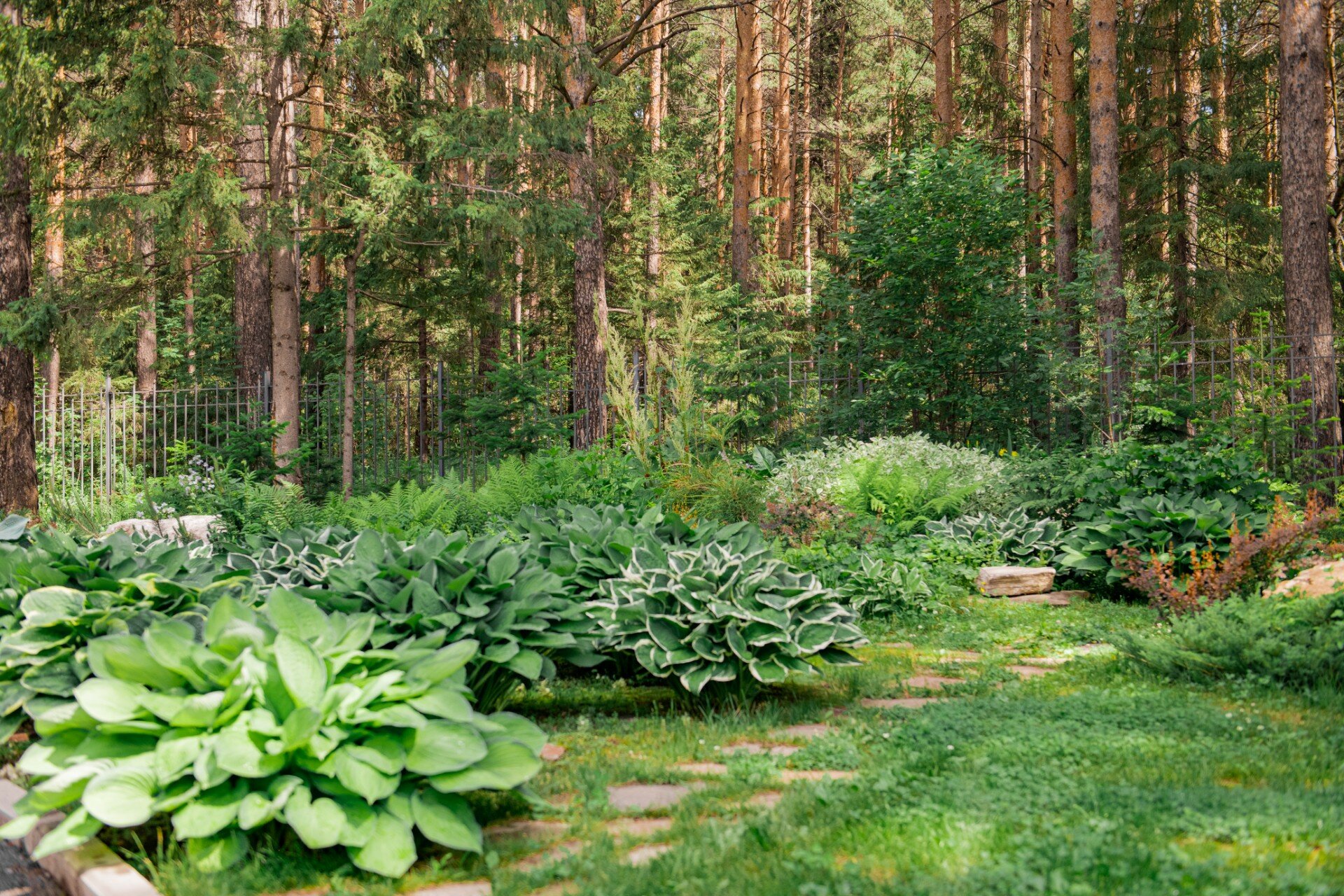 Фото Мини-гостиница Лазурит