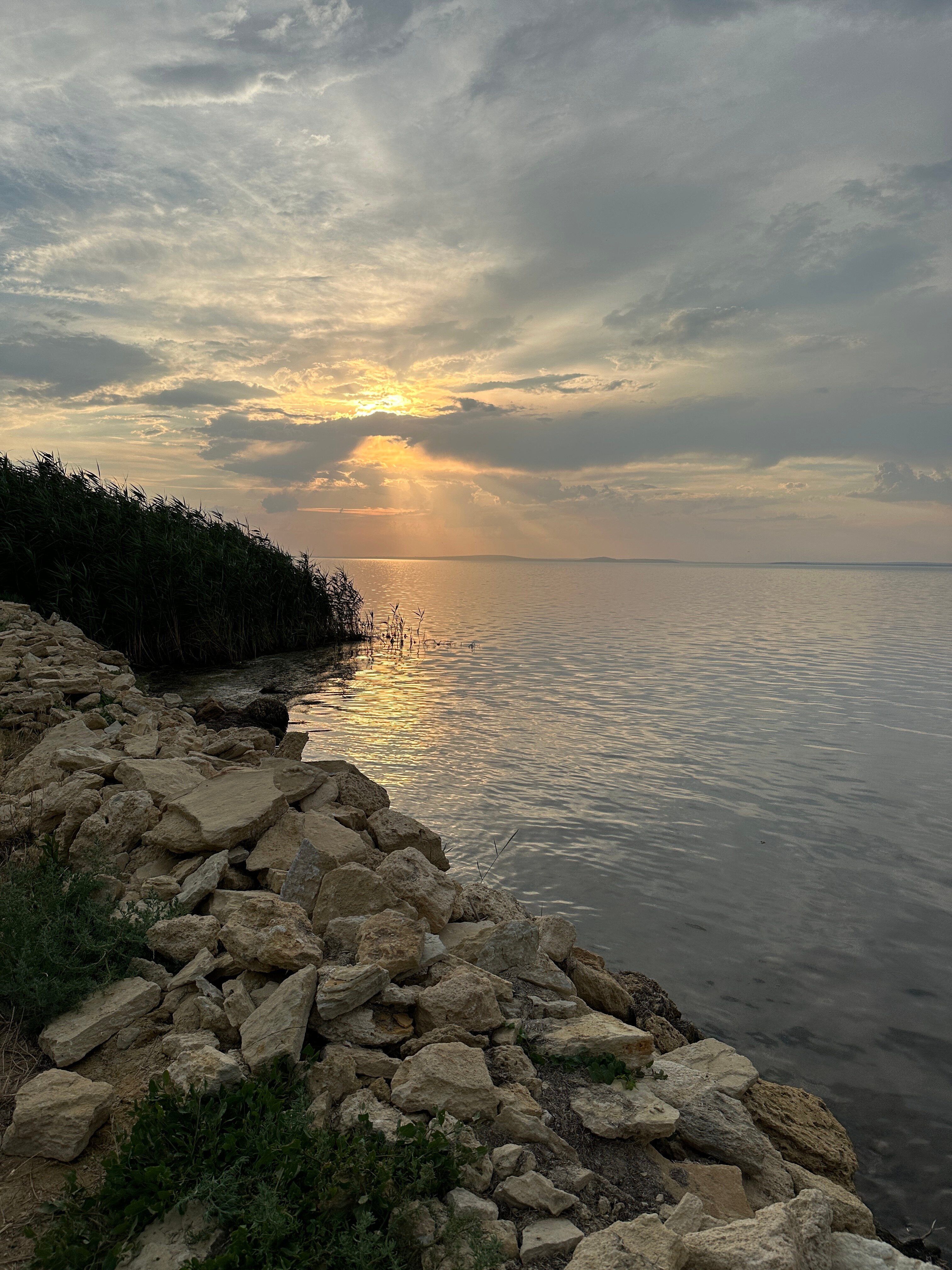 Фото Вилла 4 чайки