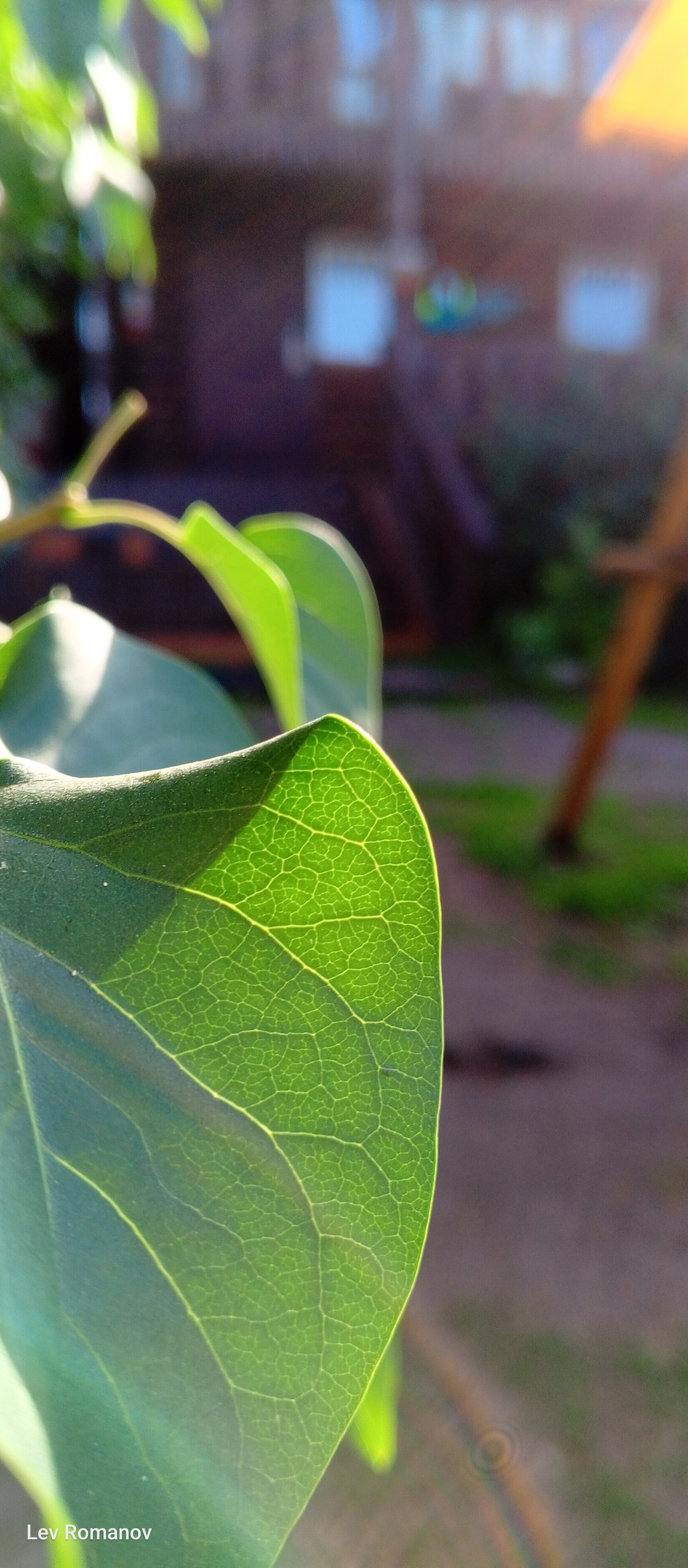 Фото Тихая Гавань