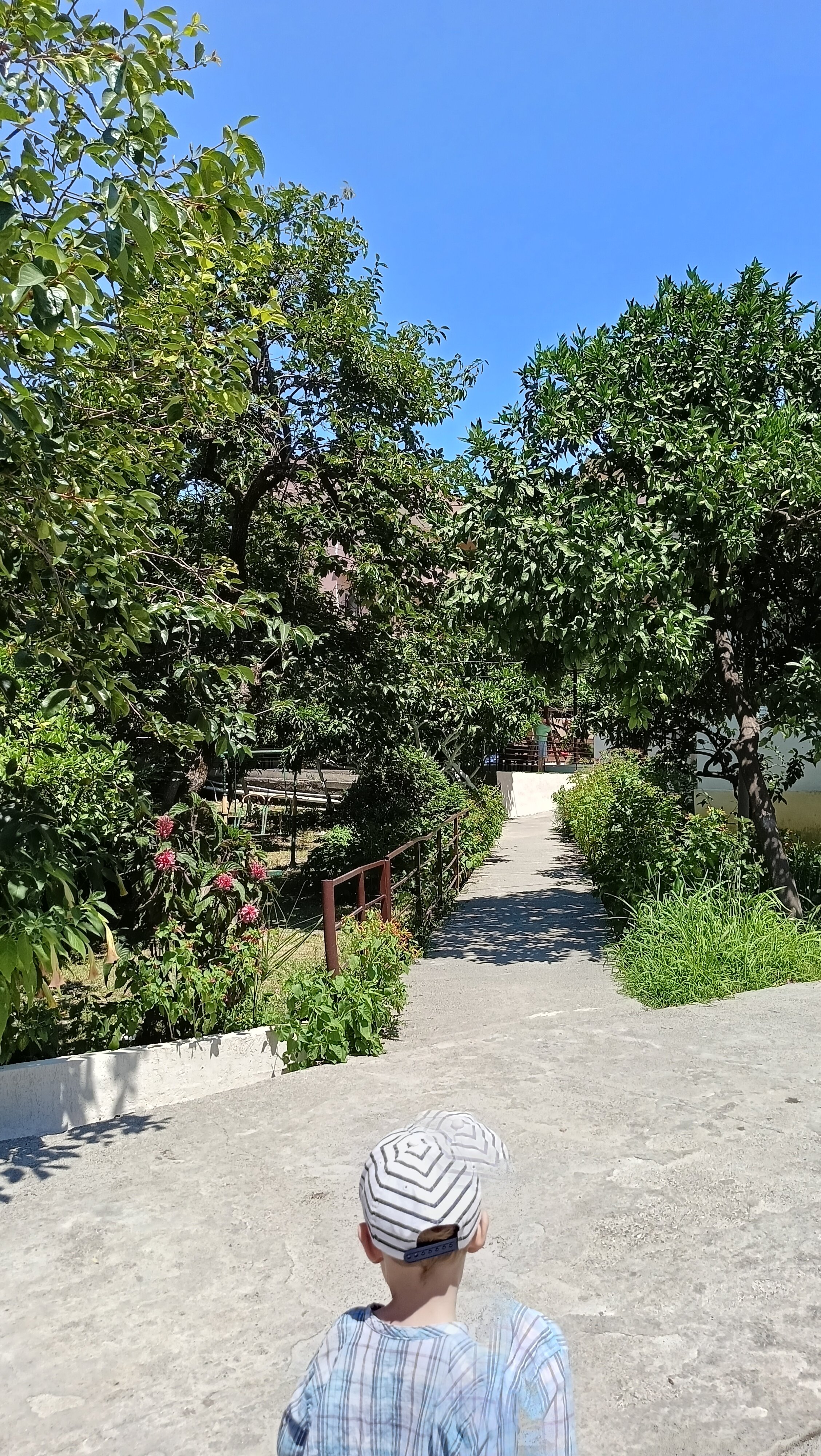 Фото Калипсо