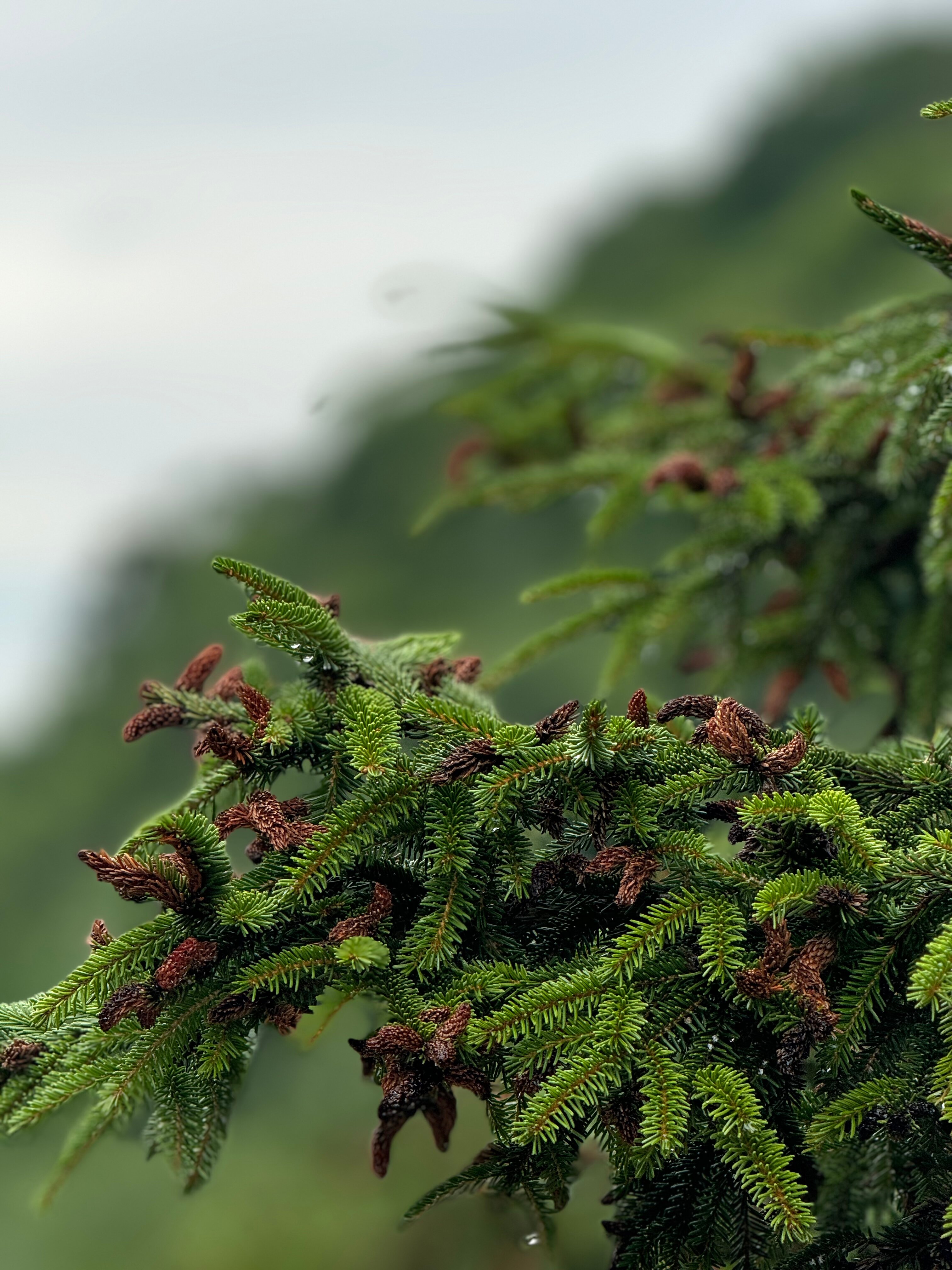 Фото Дом у реки