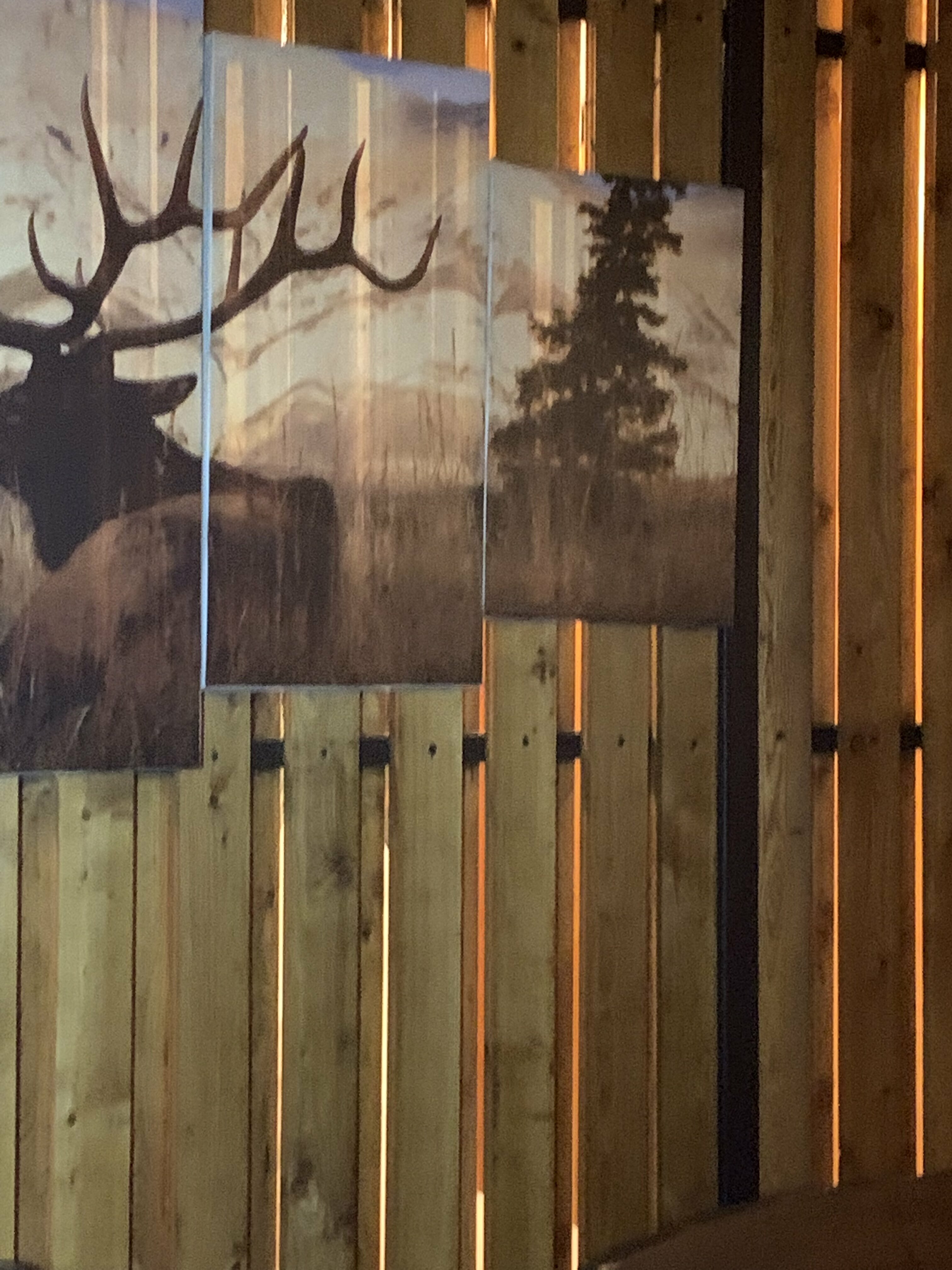 Фото Атмосфера