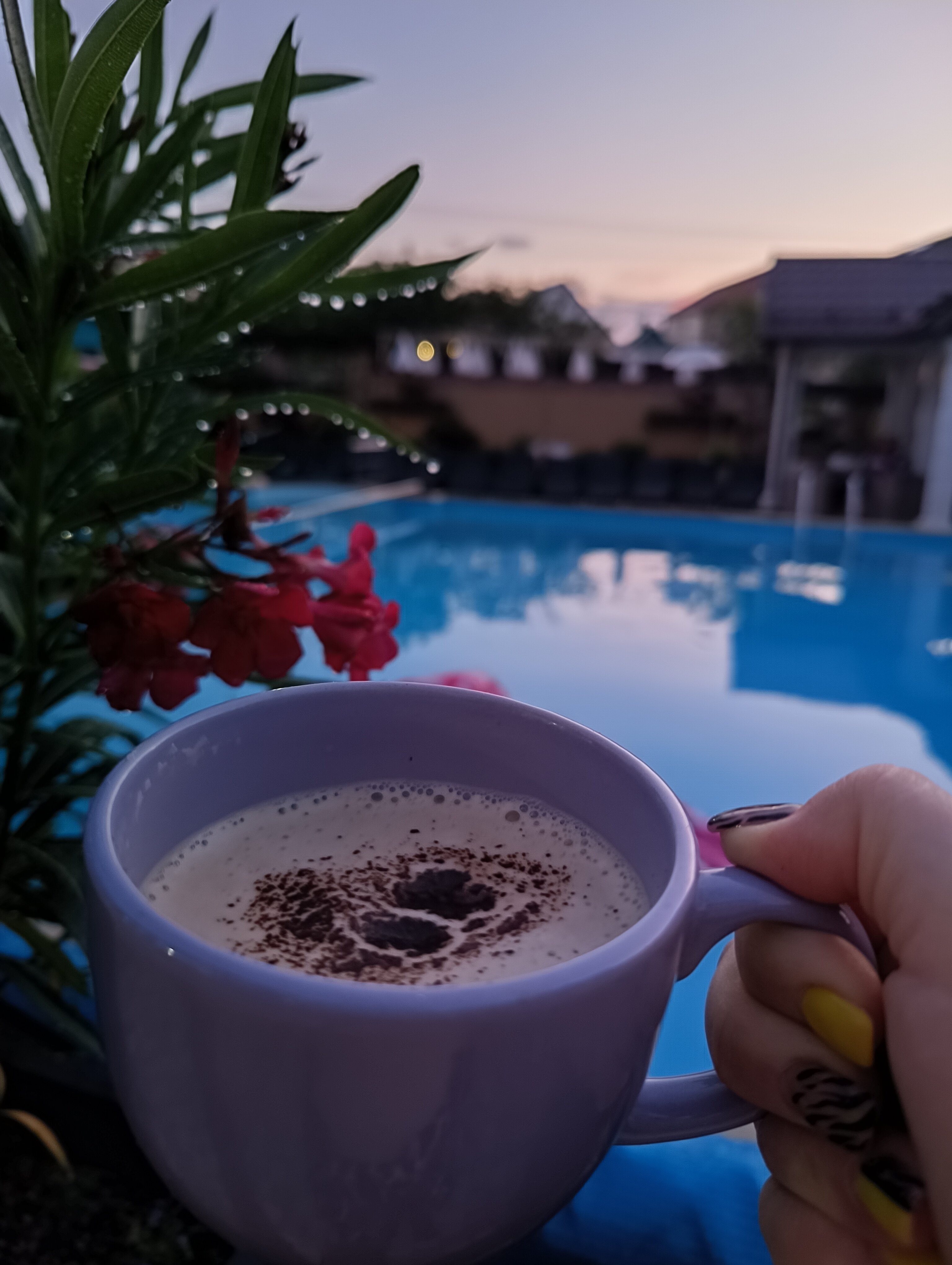 Фото Димерчи