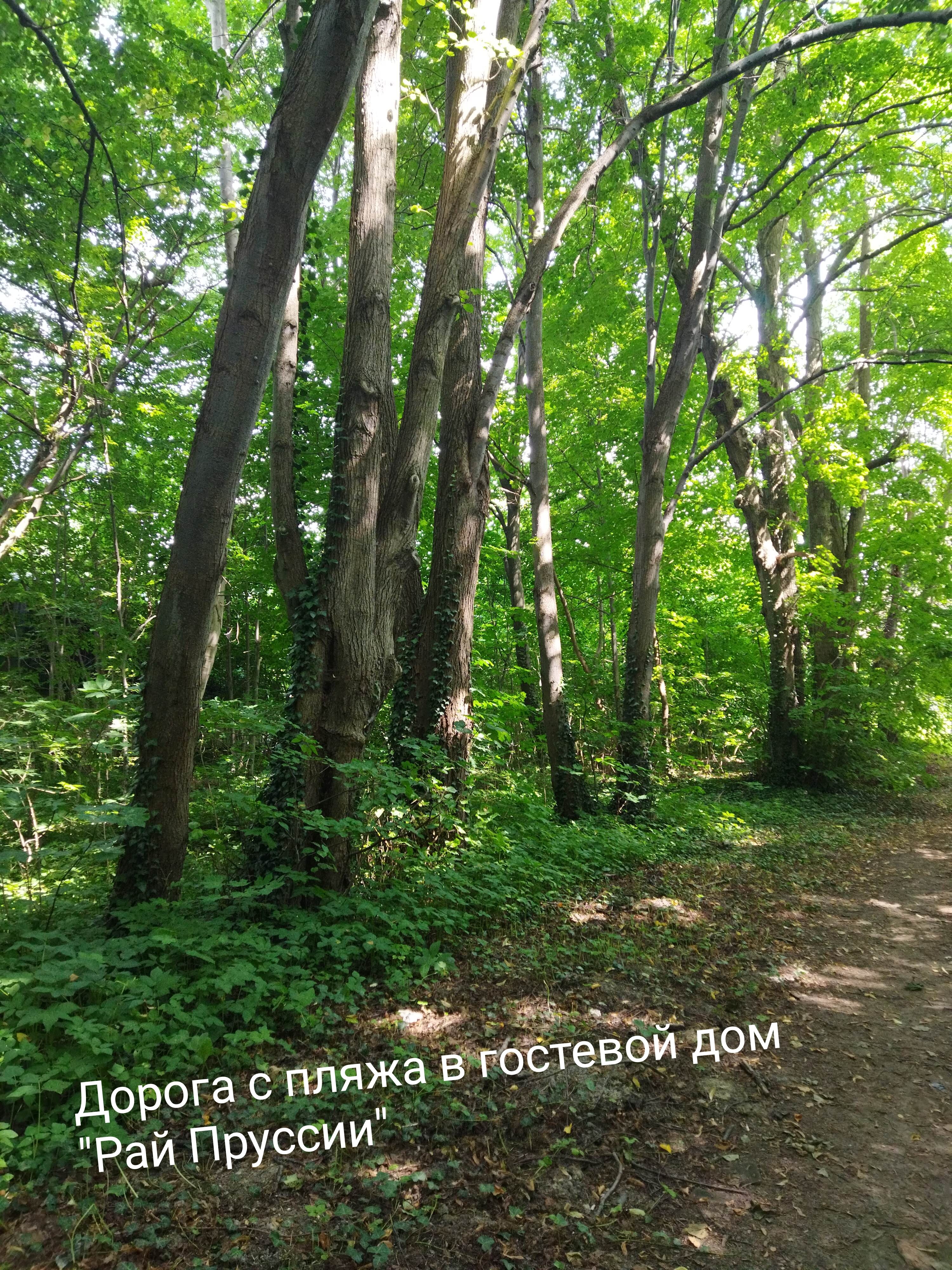 Фото Рай Пруссии