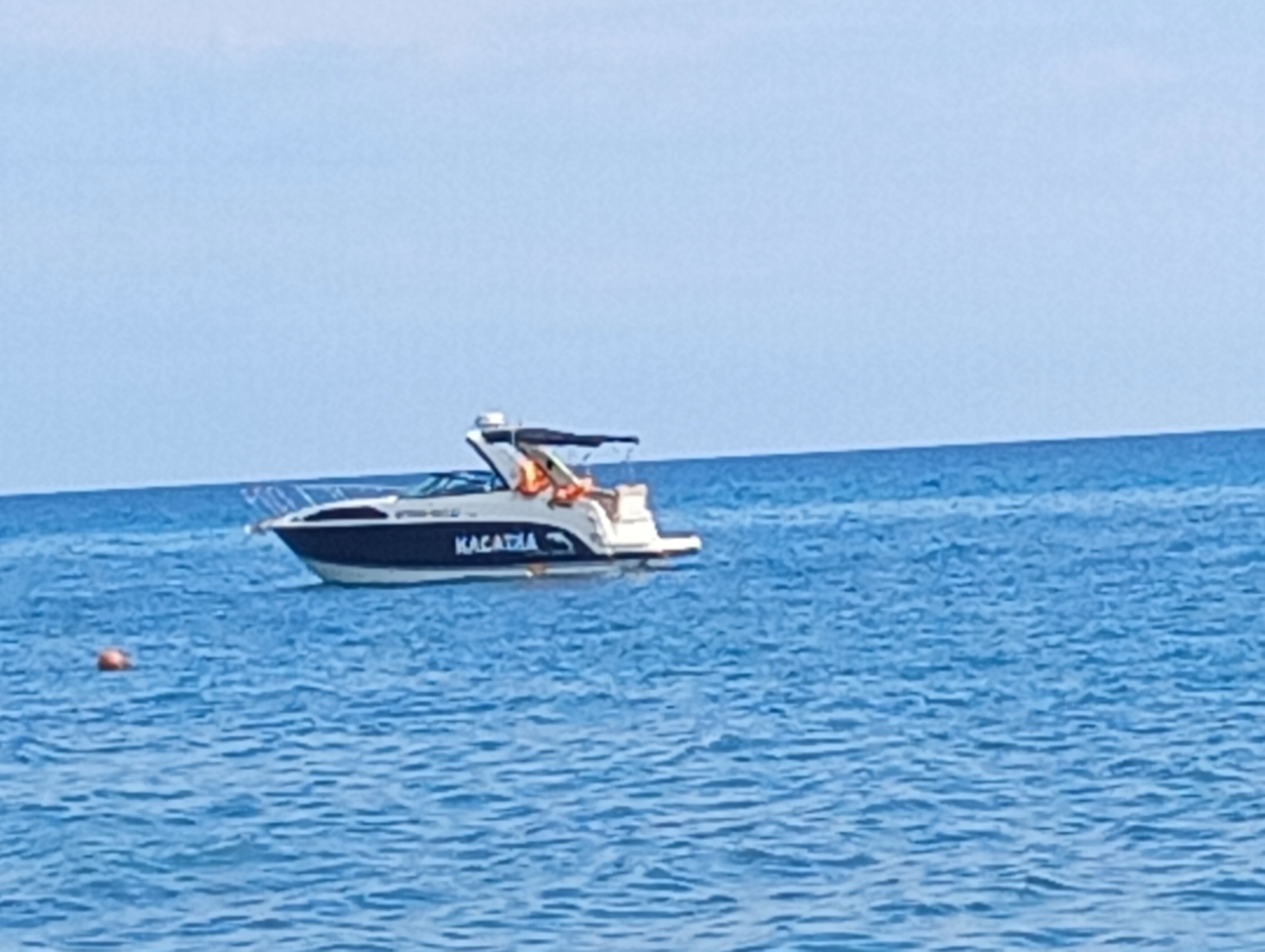 Фото Дружба