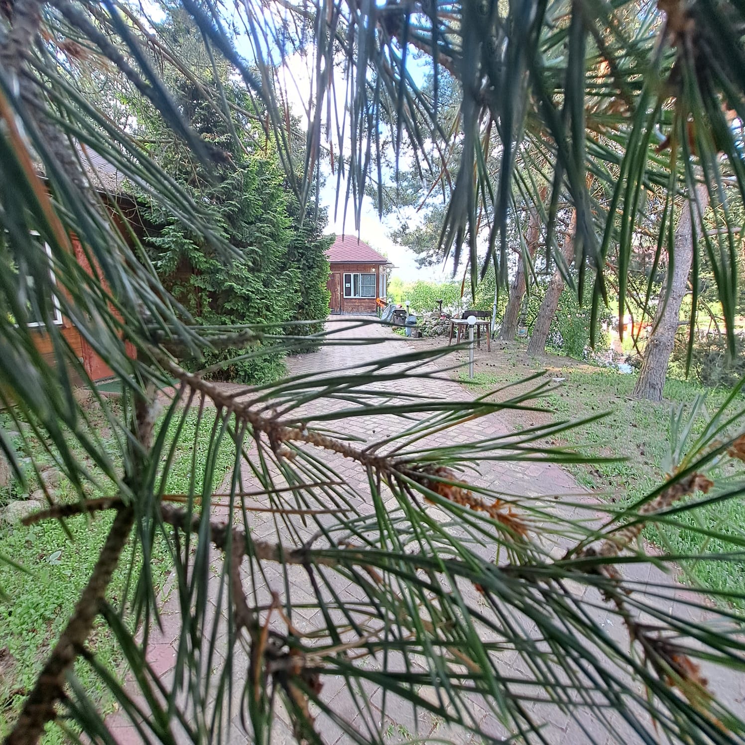 Фото Отдых и точка