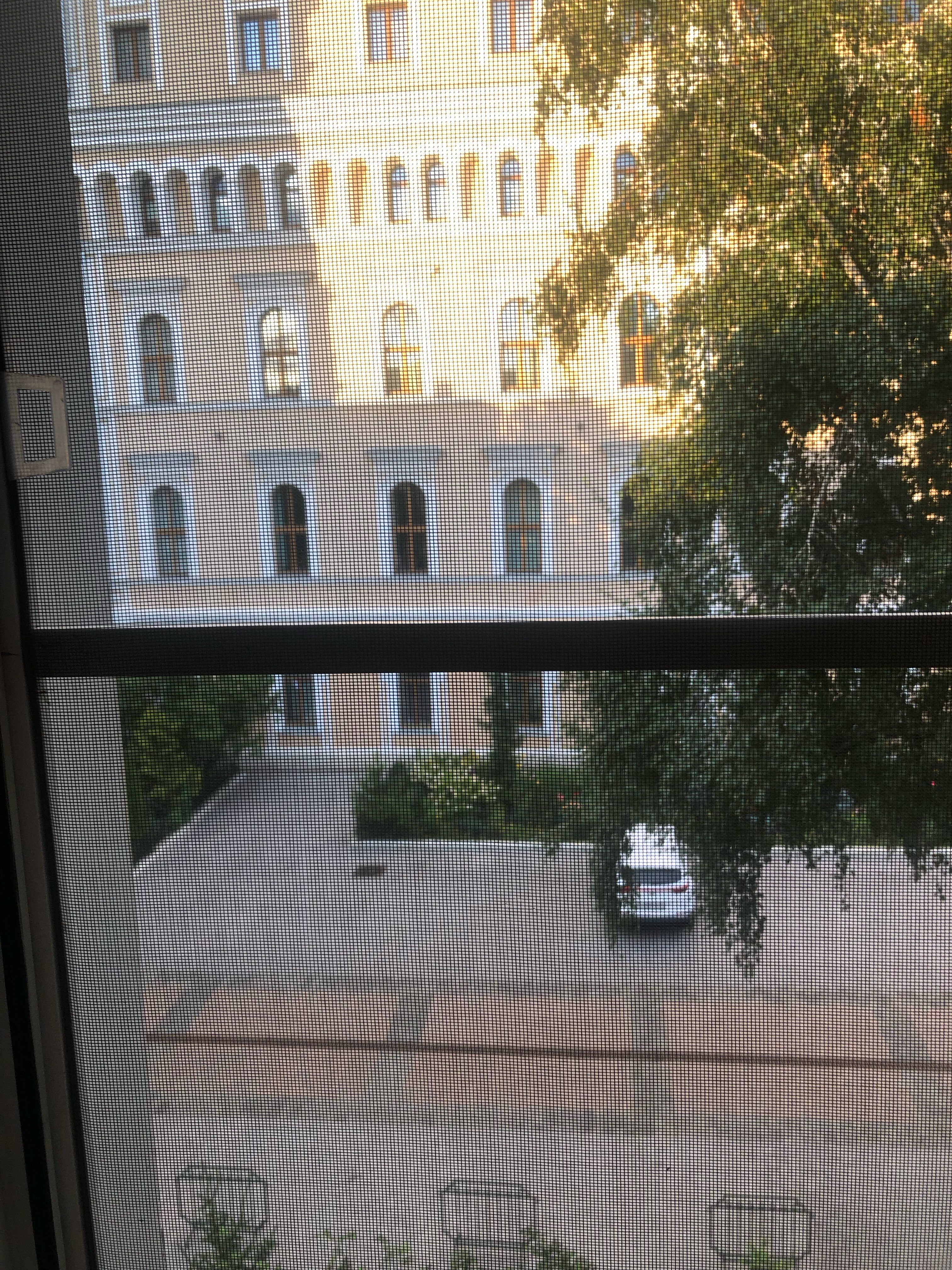 Фото People Red Square