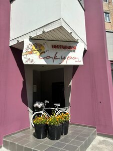 Сакура Нео