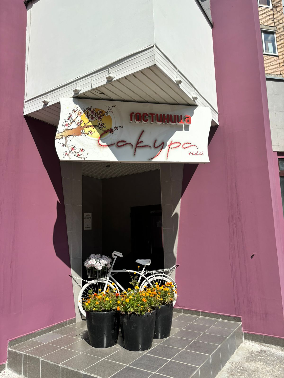 Фото Сакура Нео